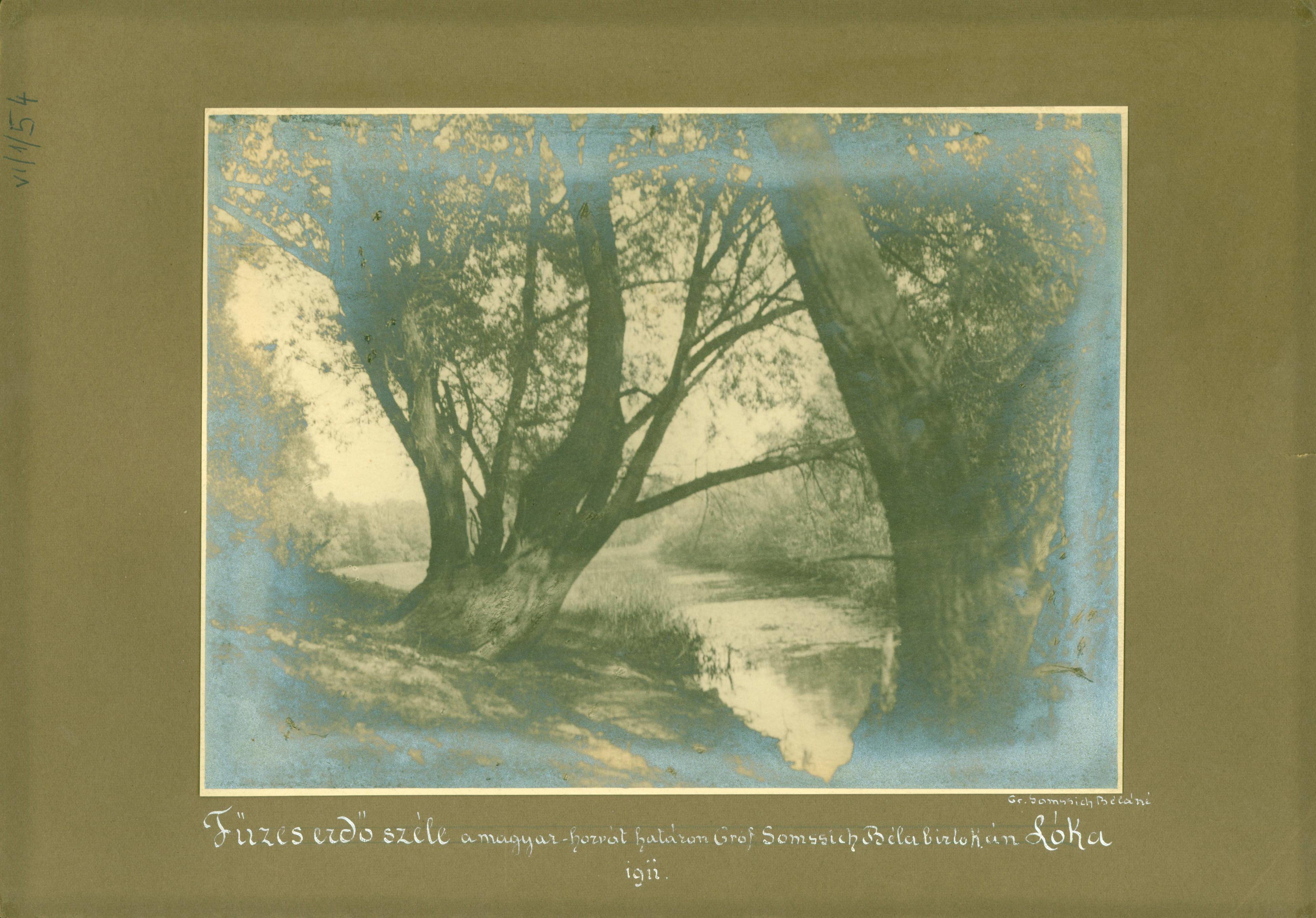 Füzes erdő széle Lóka-pusztán, Babócsa mellett (Rippl-Rónai Múzeum RR-F)