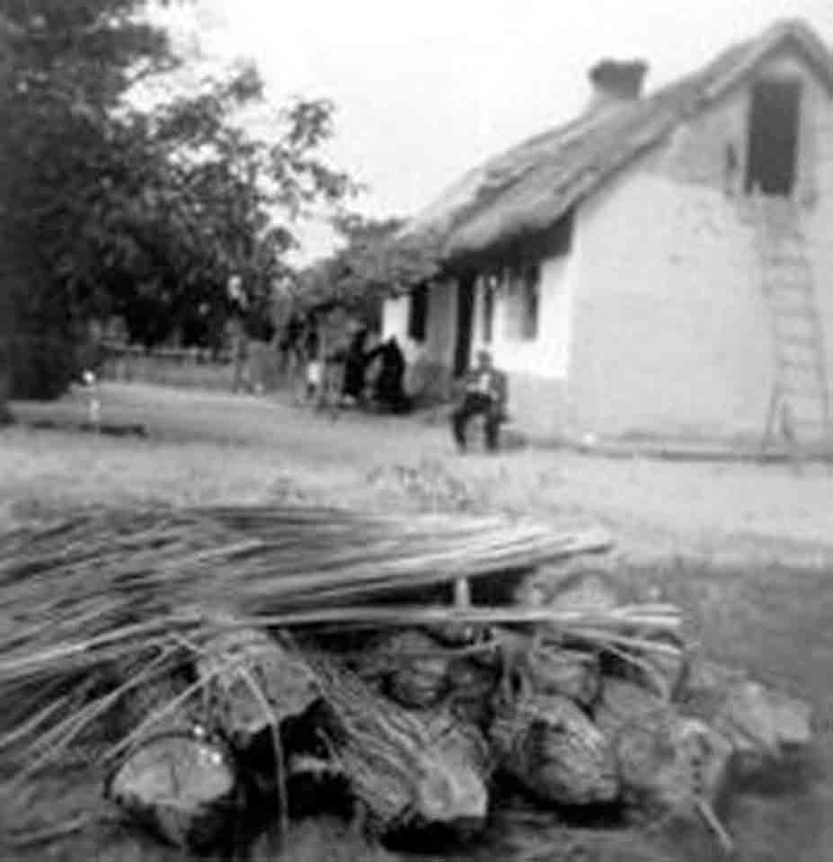 Gyékény szárogatás szüret előtt, Boszkovics János házának udvarán (Rippl-Rónai Múzeum RR-F)