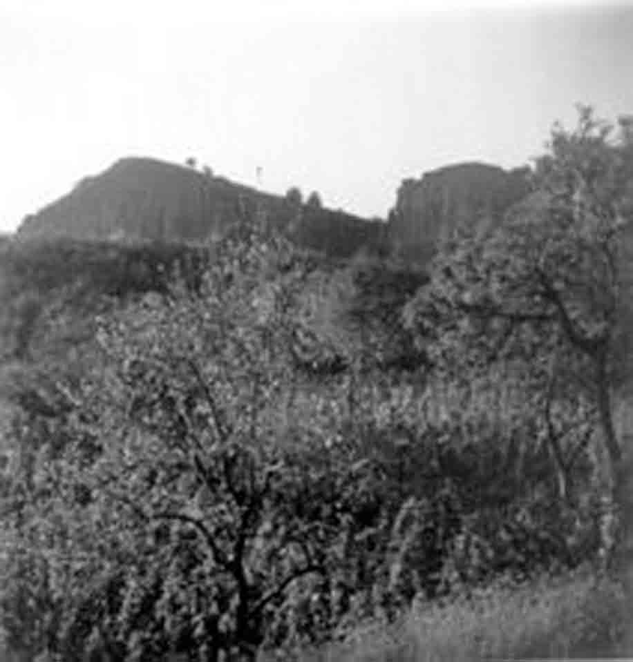 Hegyi szőlő a "kőzsákok alatt" (Rippl-Rónai Múzeum RR-F)
