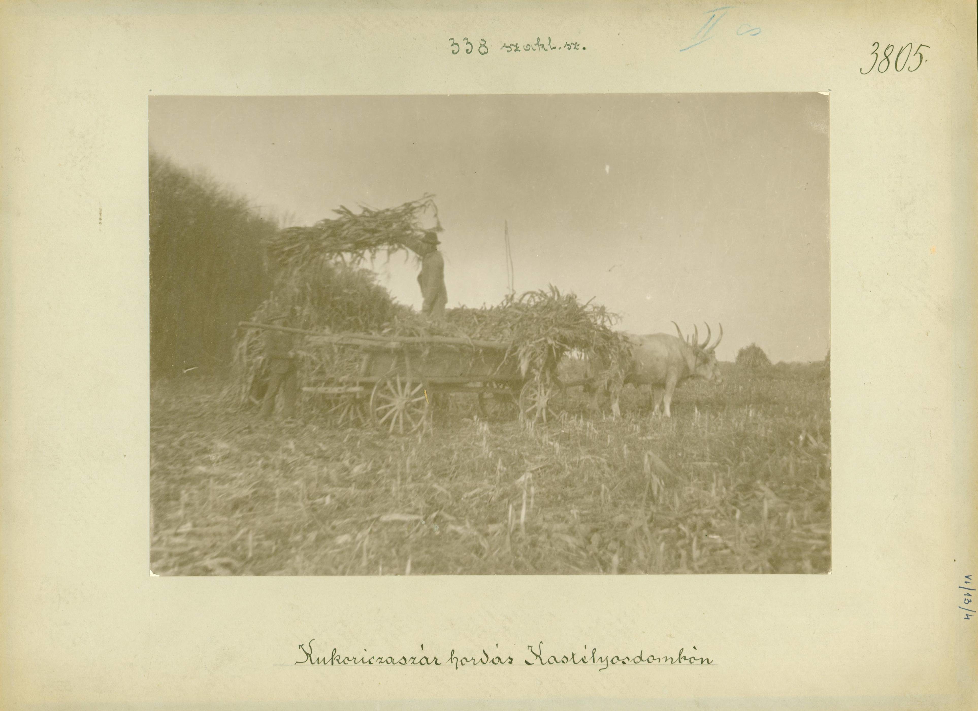 Kukoricaszár hordás Kastélyosdombón (Rippl-Rónai Múzeum RR-F)