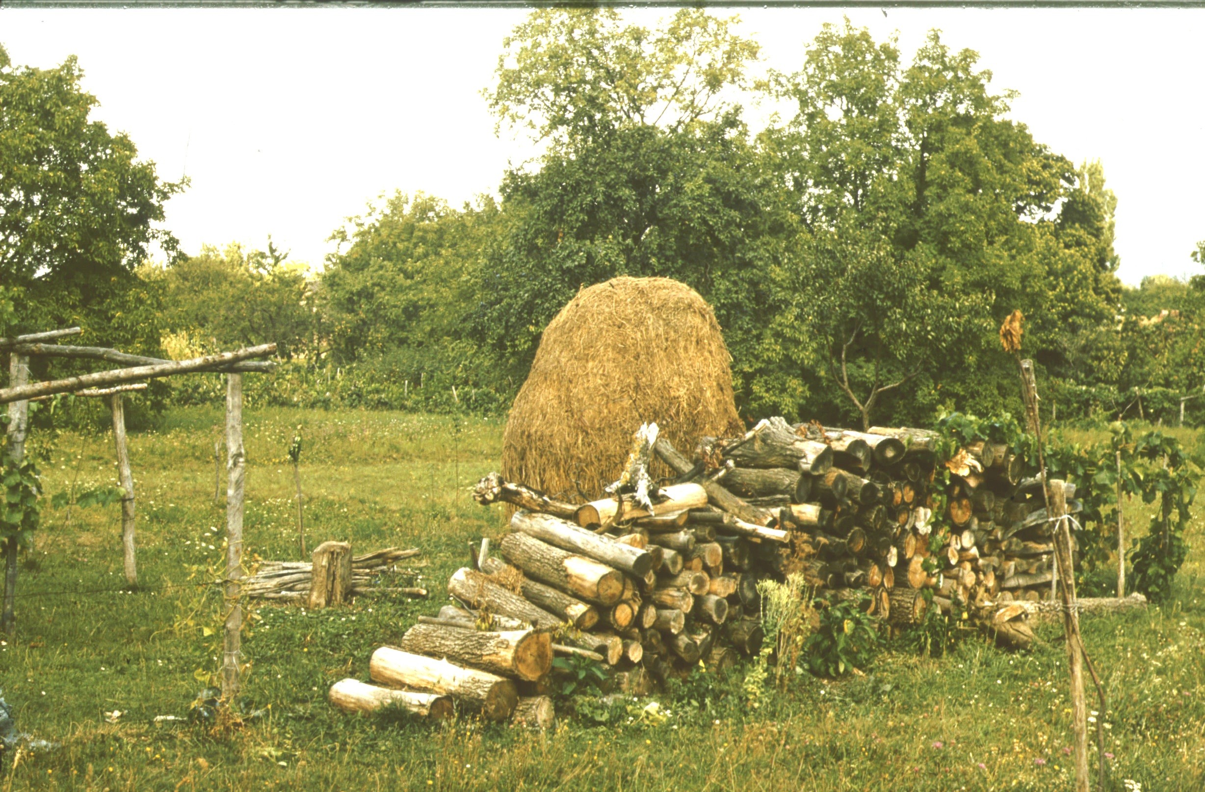Zóka Ferenc nyári tanyája a hegyben (Rippl-Rónai Múzeum RR-F)