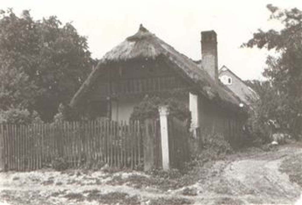 Zsuppos, üstökös, elől és udvarnál faoszlopos, tornácos ház (Rippl-Rónai Múzeum RR-F)