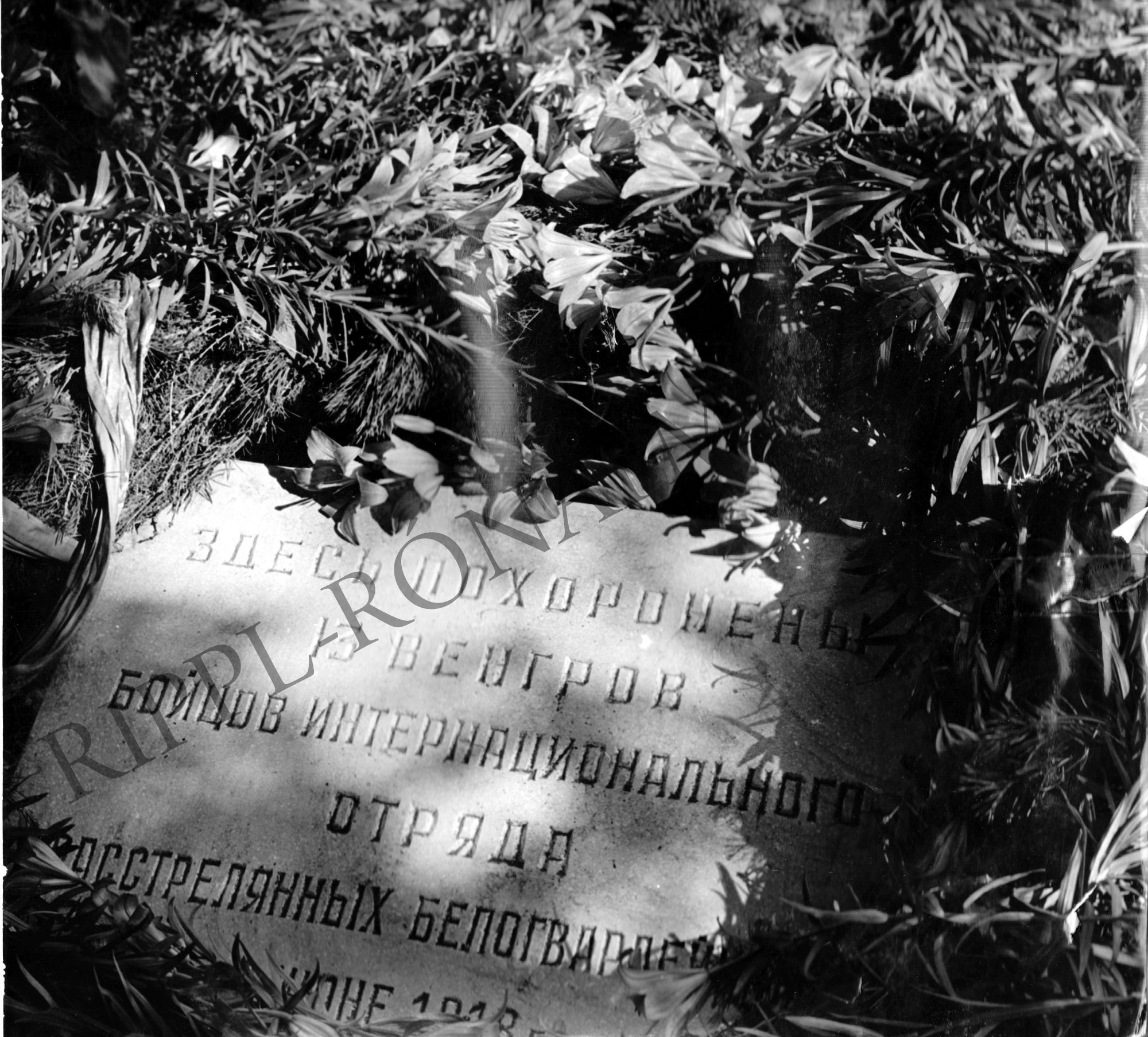 13 magyar internacionalista sírja. Omszkban a fehérek lőtték agyon őket, 1918. júliusában. (Rippl-Rónai Múzeum CC BY-NC-SA)