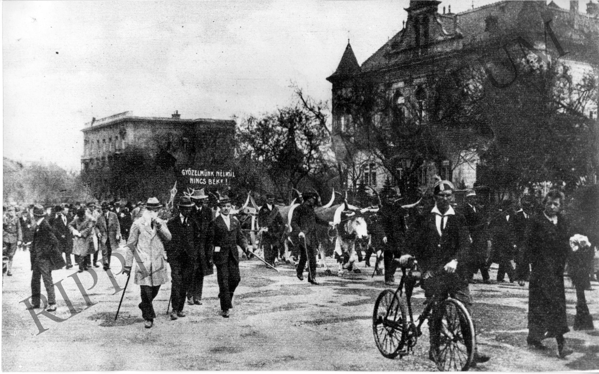 1919 május 1-jei felvonulás. Részlet - a húsipari munkások a Stefánia úton (Rippl-Rónai Múzeum CC BY-NC-SA)