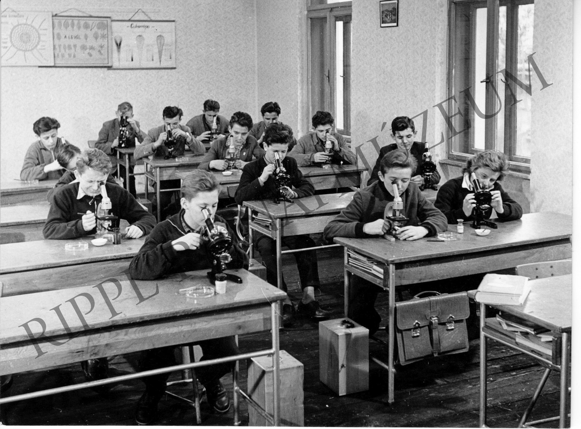 A Cukoripari Technikum első osztályosai biológiai gyakorlat közben (Rippl-Rónai Múzeum CC BY-NC-SA)