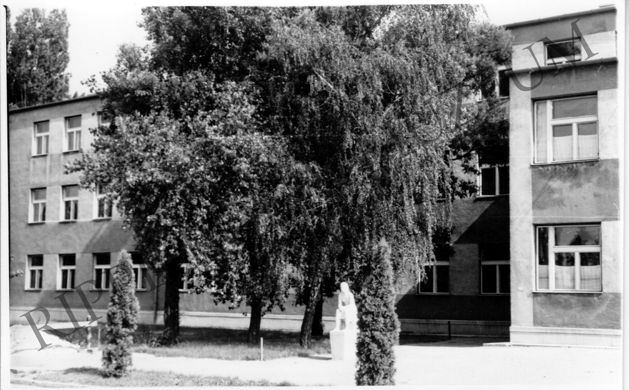 A fonyódi Karikás Frigyes Gimnázium és Iparitanuló Intézet épülete előtte egy fa (Rippl-Rónai Múzeum CC BY-NC-SA)