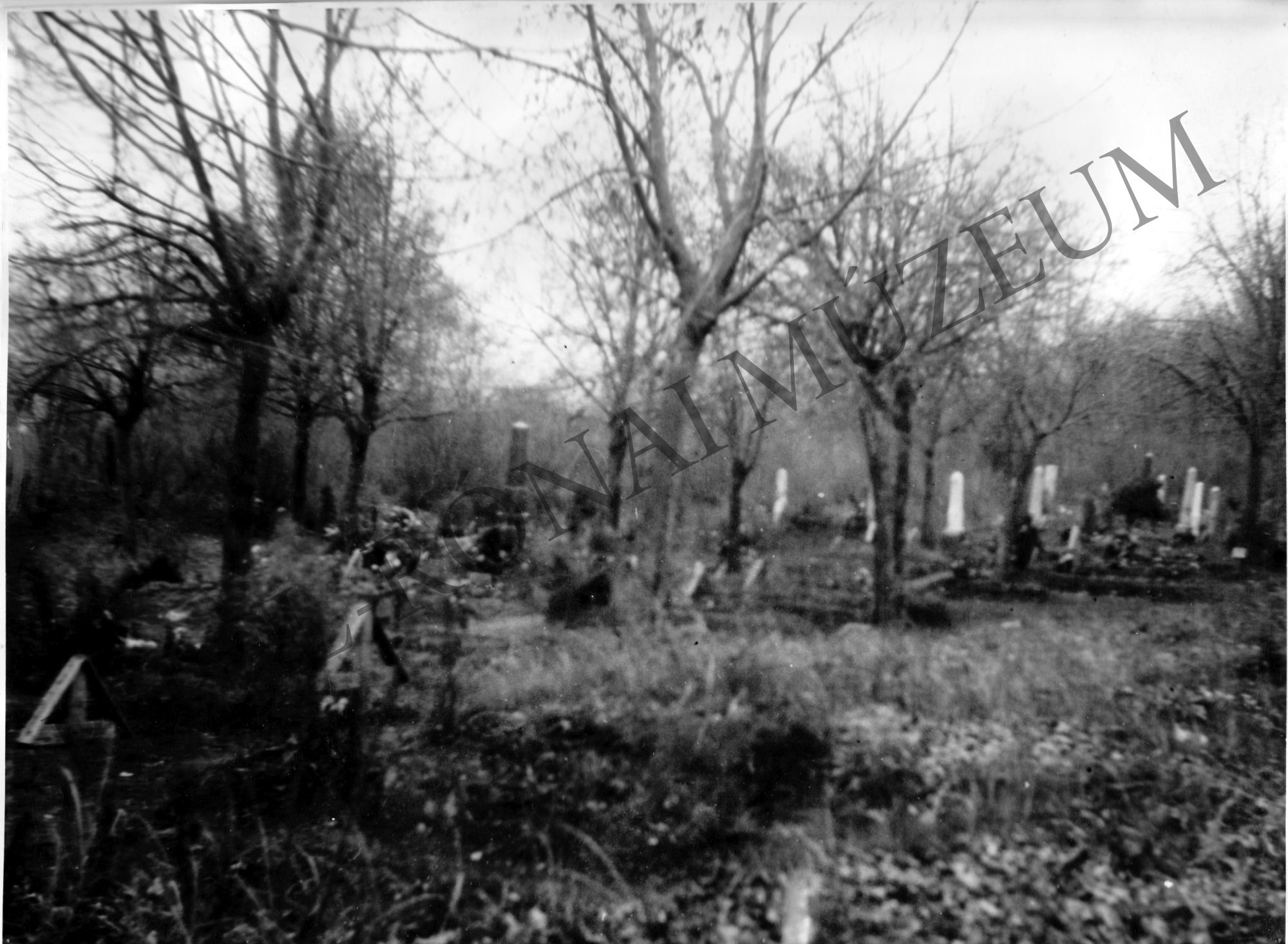 A hácsi temető, ahol a sztrájkolók 1905-ben gyűléseiket tartották. (Rippl-Rónai Múzeum CC BY-NC-SA)