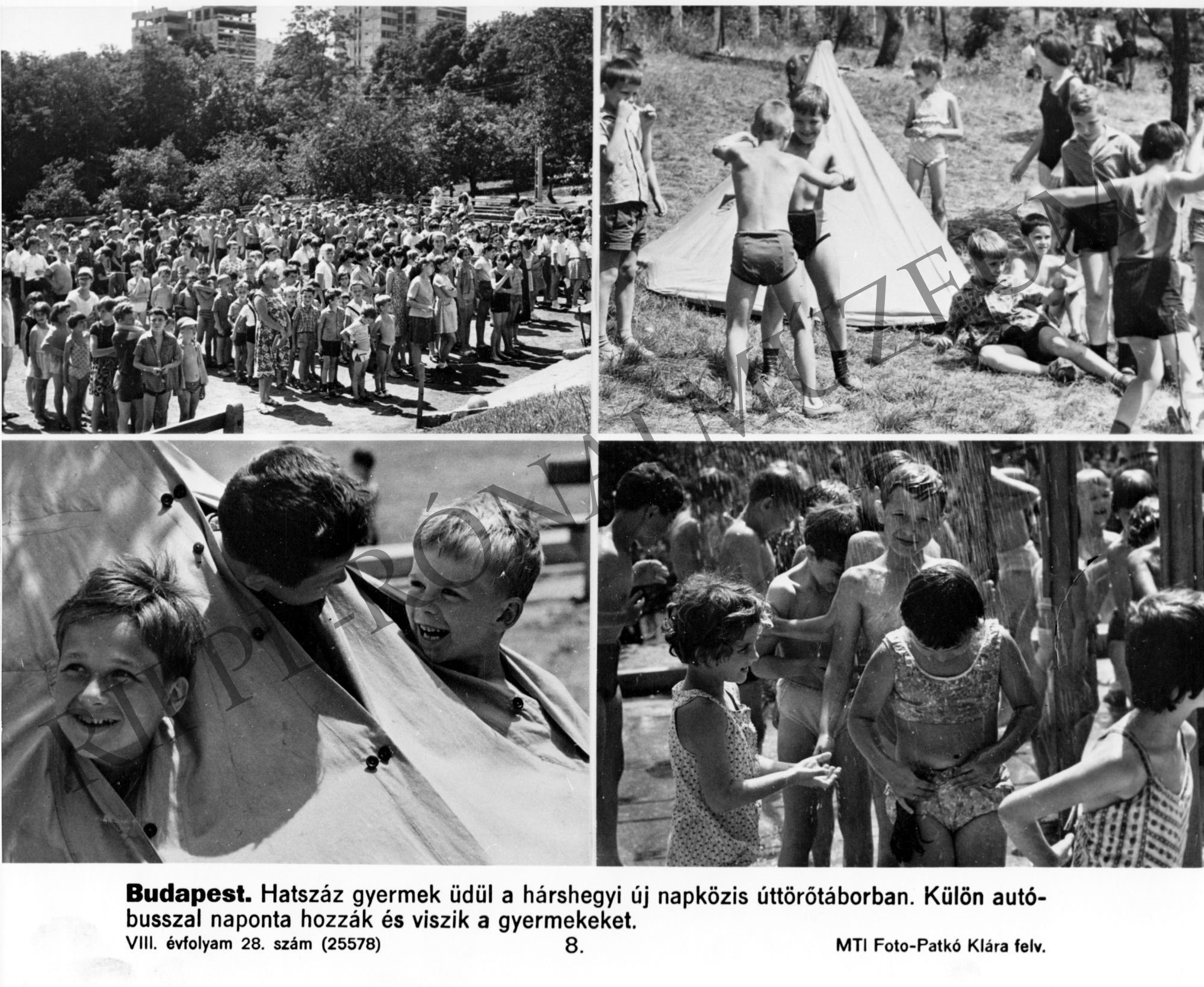 A hárshegyi napközis úttörőtáborban 600 gyerek üdül (Rippl-Rónai Múzeum CC BY-NC-SA)