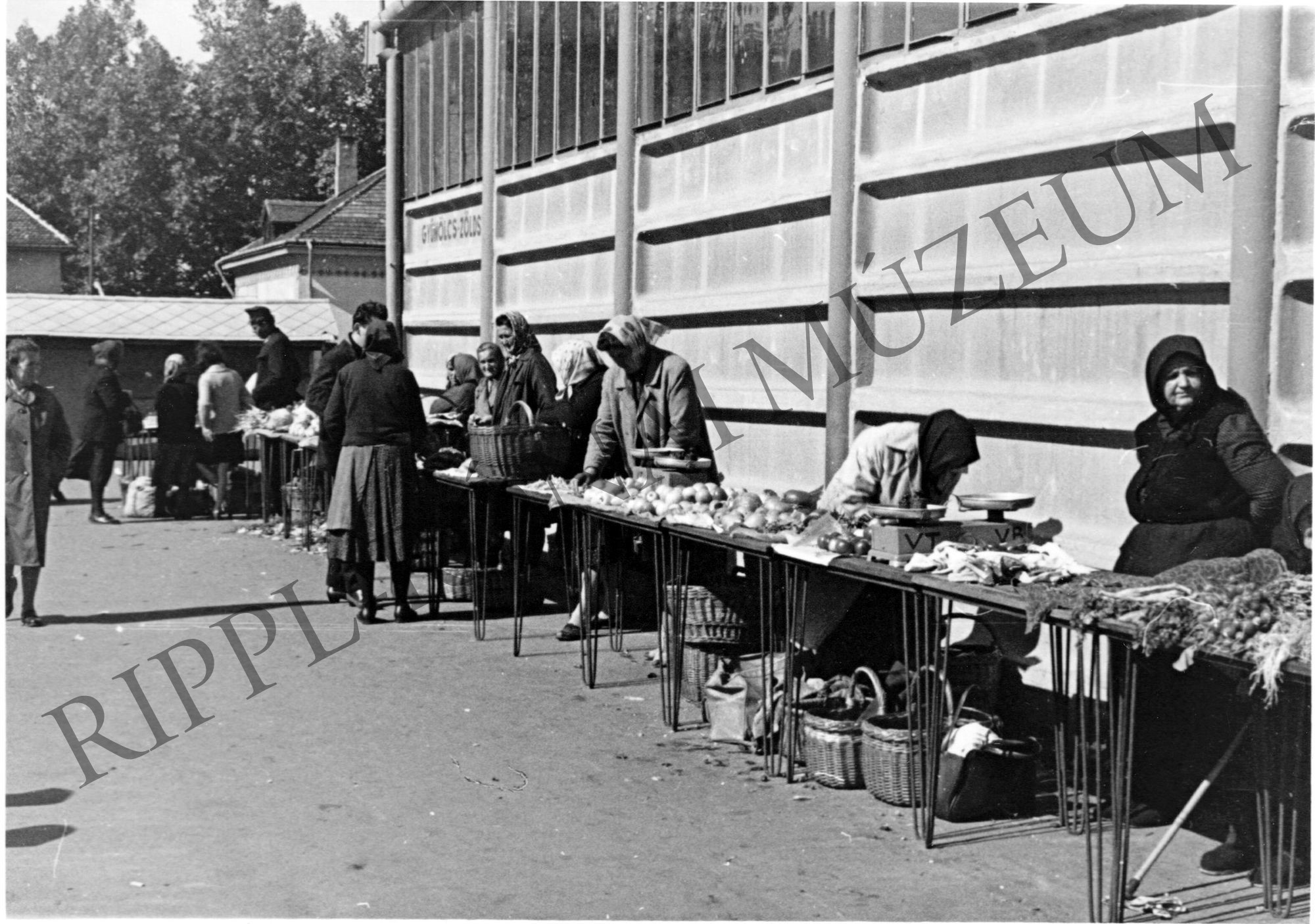 A kaposvári piac. Gyümölcsárusok a csarnok oldala mellett. (Rippl-Rónai Múzeum CC BY-NC-SA)