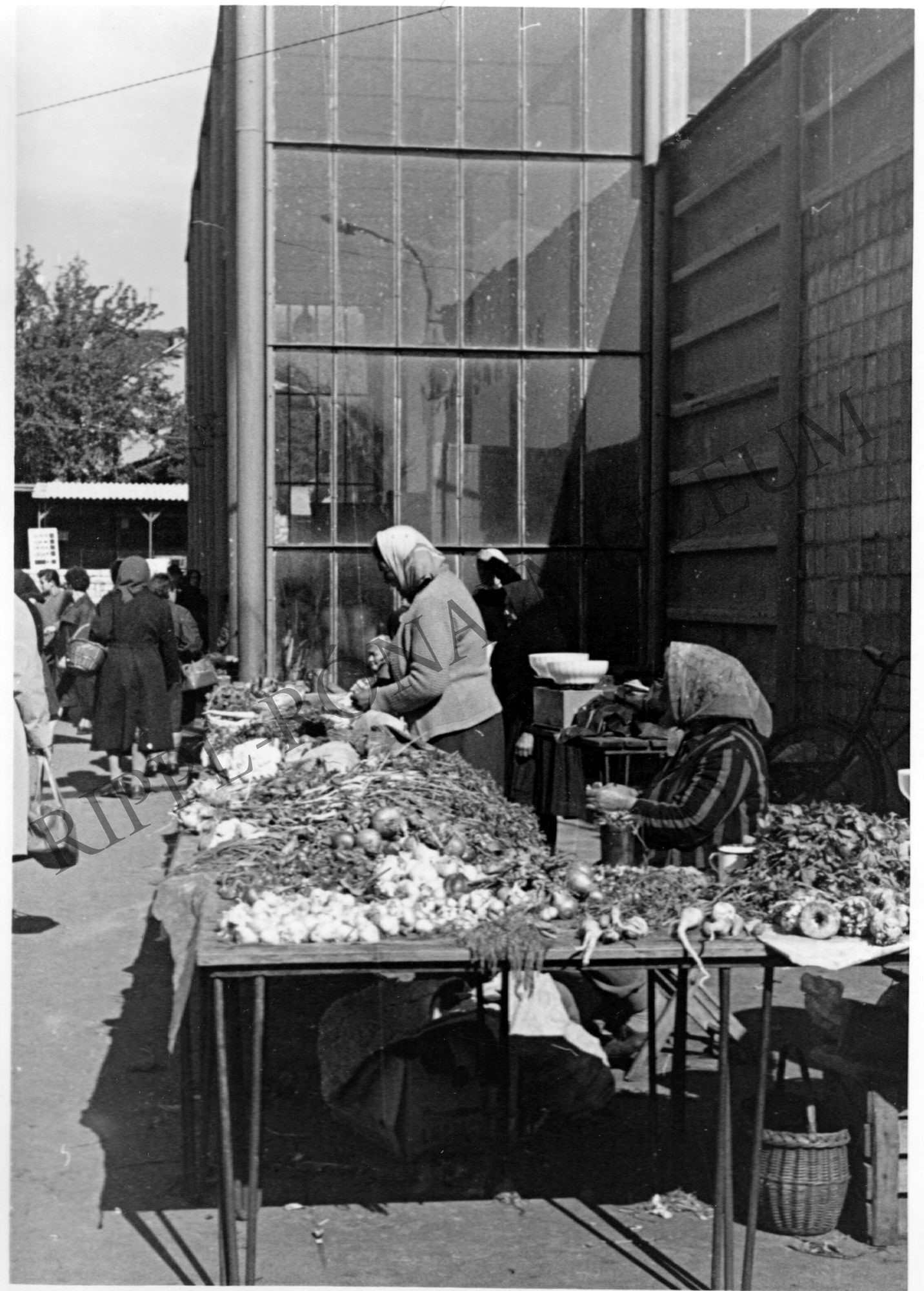 A kaposvári piac. Zöldségárusok a csarnok mellett. (Rippl-Rónai Múzeum CC BY-NC-SA)