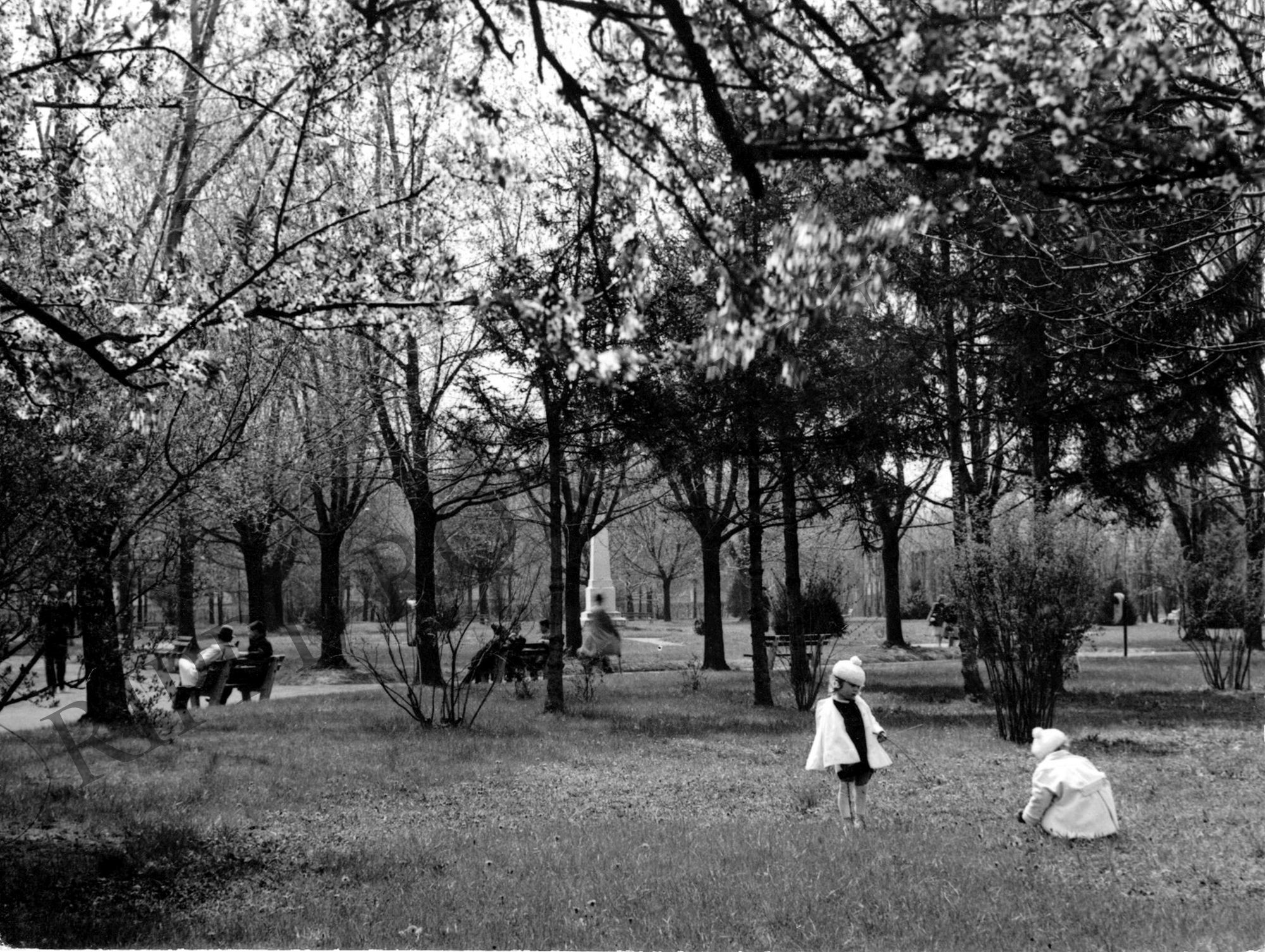 A kaposvári Szabadság (ma: Berzsenyi) park (Rippl-Rónai Múzeum CC BY-NC-SA)