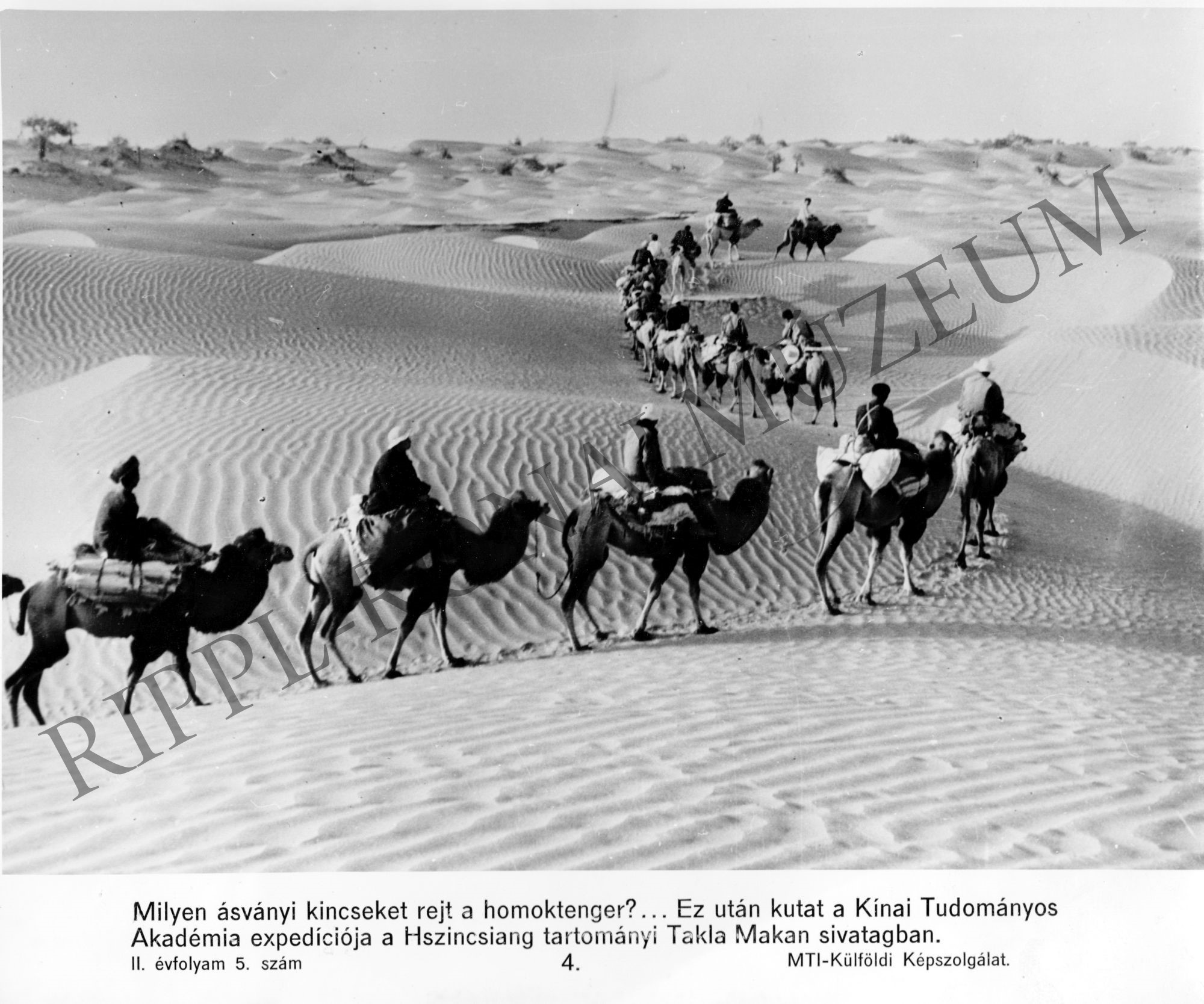 A Kínai Tudományos Akadémia tevés expedíciója ásványkincsek nyomában a Takla Makan sivatagban (Rippl-Rónai Múzeum CC BY-NC-SA)