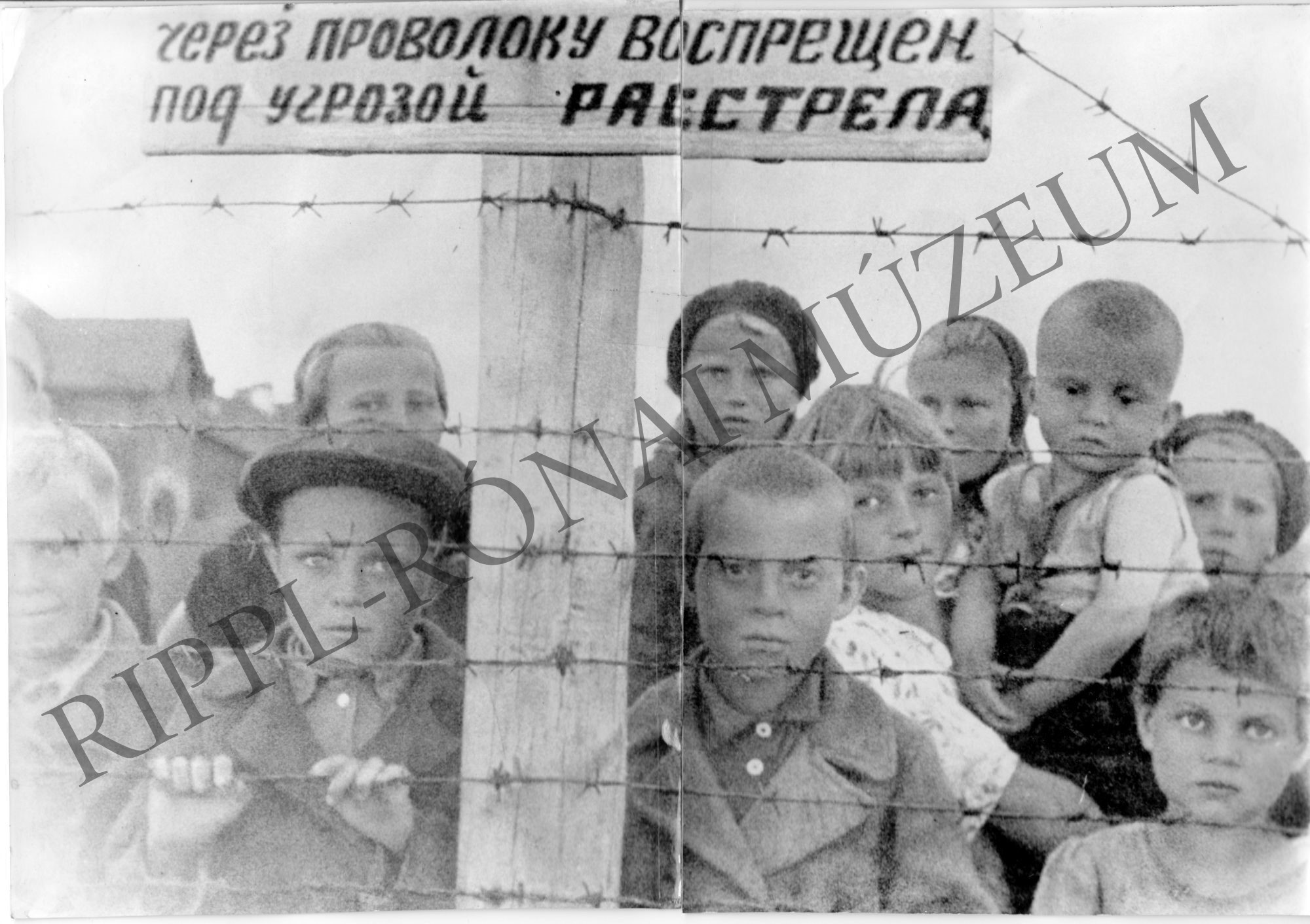 A koncentrációs tábor szögesdrótja mögött (Rippl-Rónai Múzeum CC BY-NC-SA)