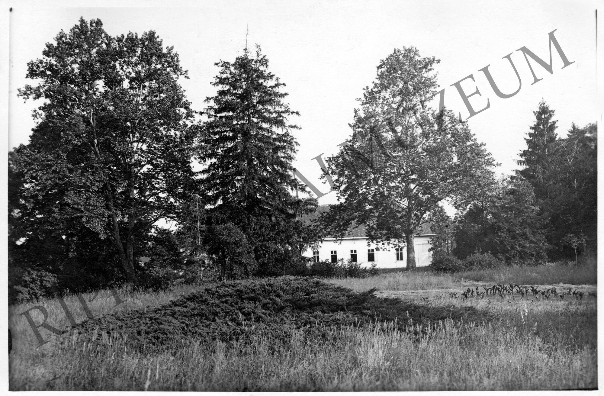 A szöllösgyöröki Jankovich-kastély és park (Rippl-Rónai Múzeum CC BY-NC-SA)