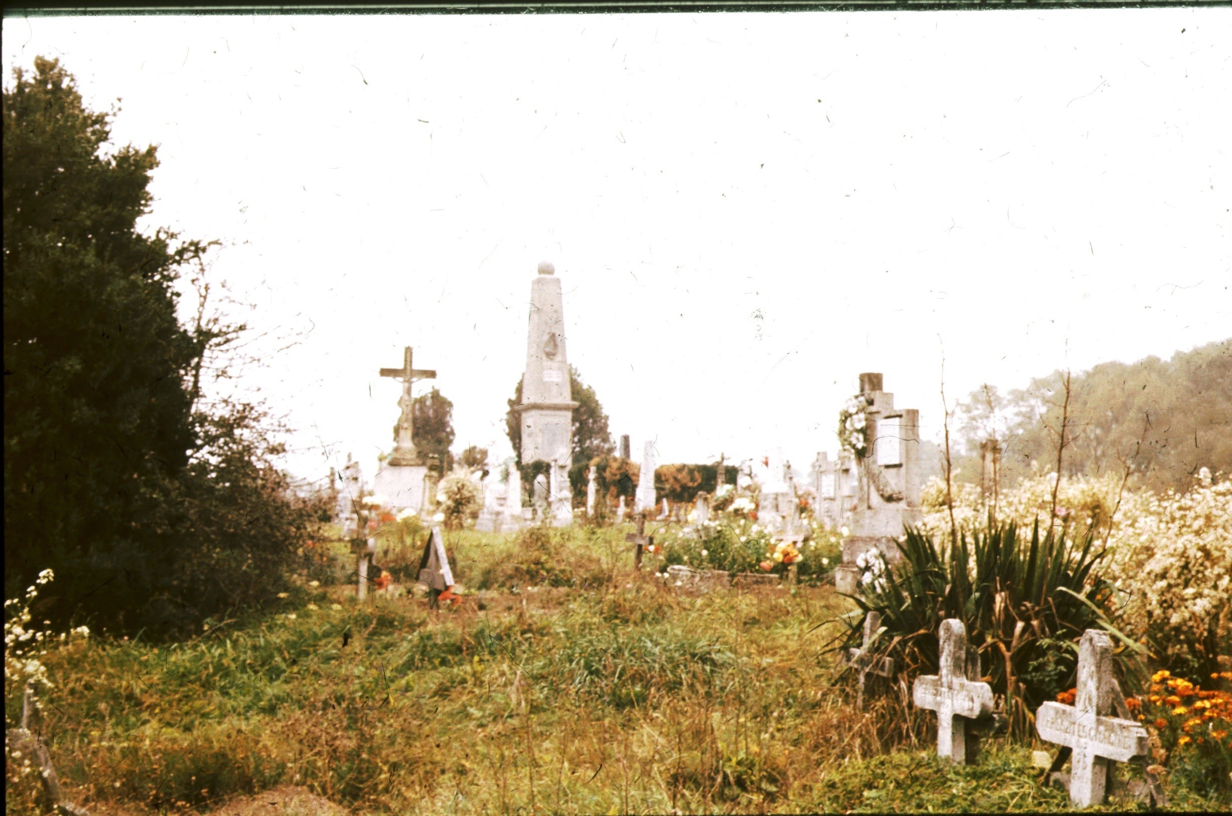 A temető látképe DNy-ról (Rippl-Rónai Múzeum CC BY-NC-ND)