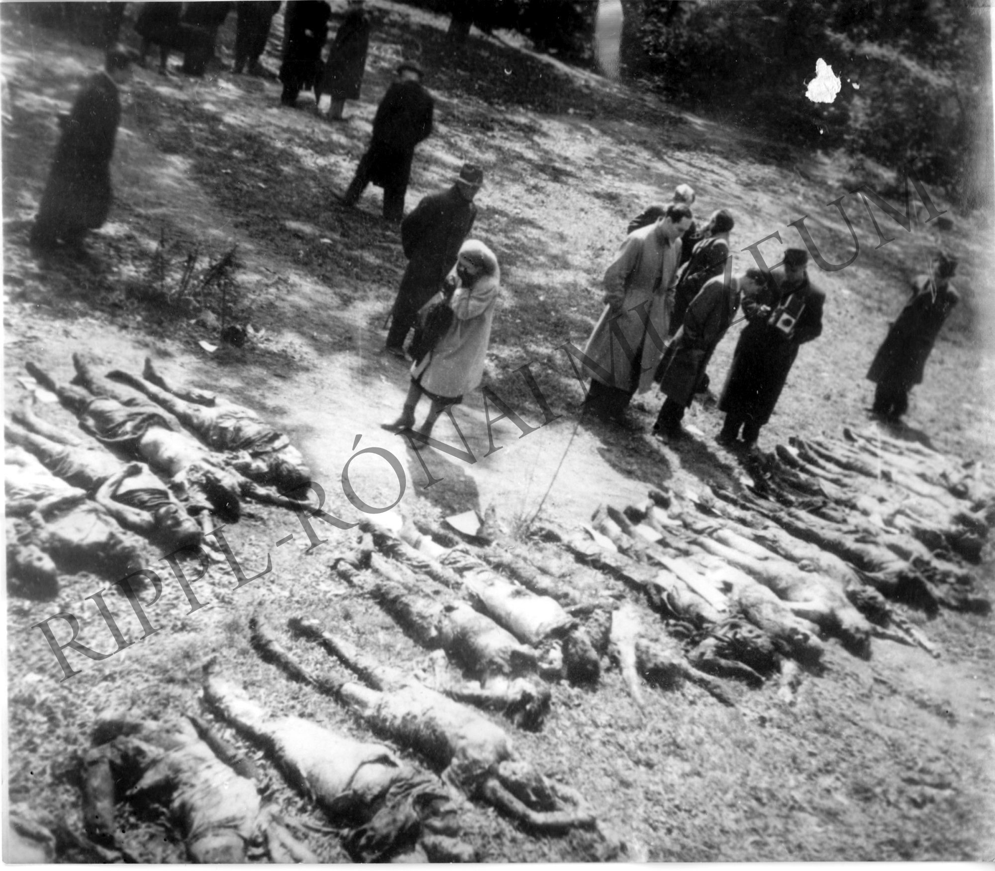 A városmajori nyilas tömeggyilkosság áldozatainak exhumálása. 1946. (Rippl-Rónai Múzeum CC BY-NC-SA)