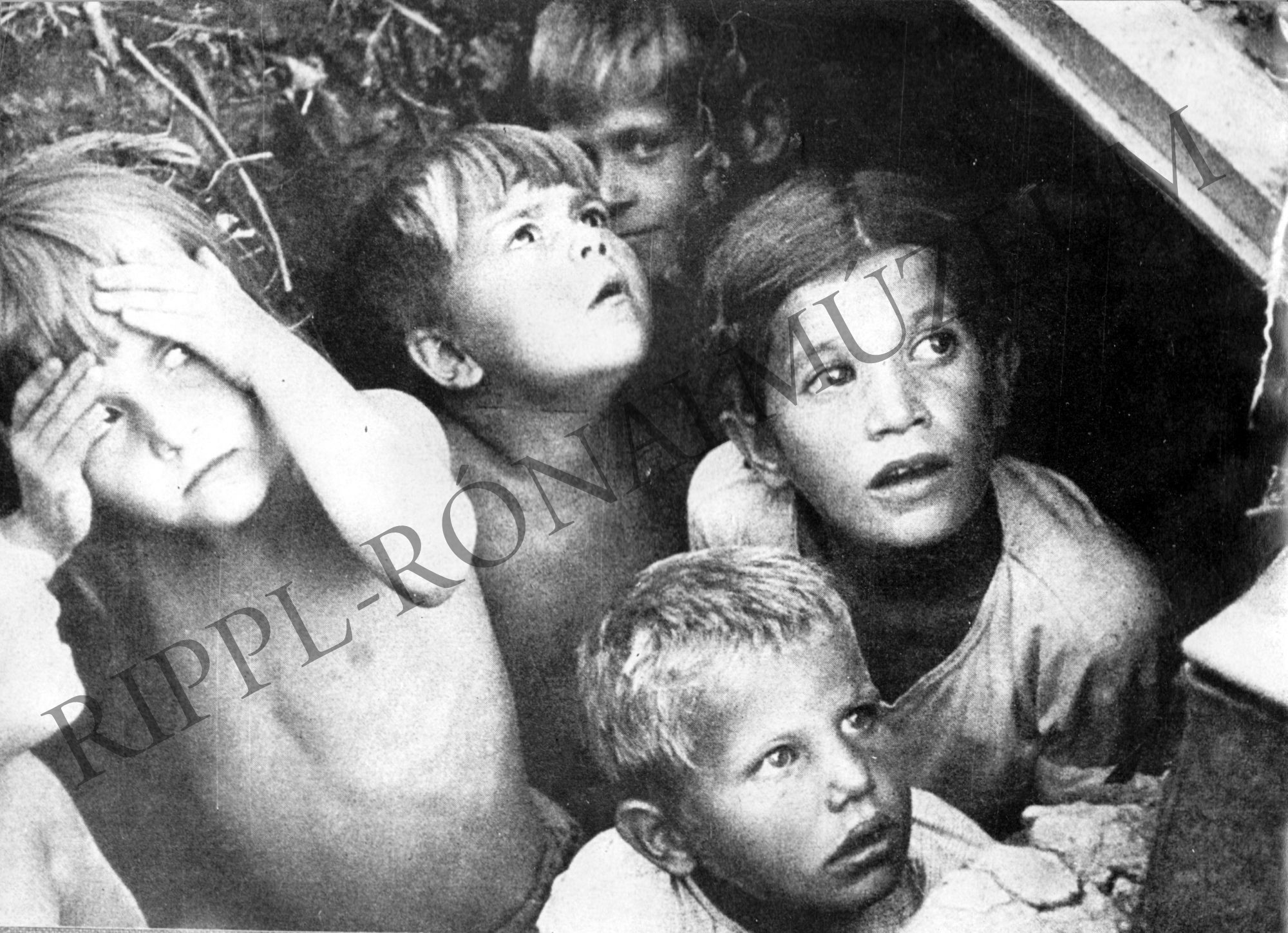 A Vörös Hadsereg felszabadította a koncentrációs táborokat (Rippl-Rónai Múzeum CC BY-NC-SA)
