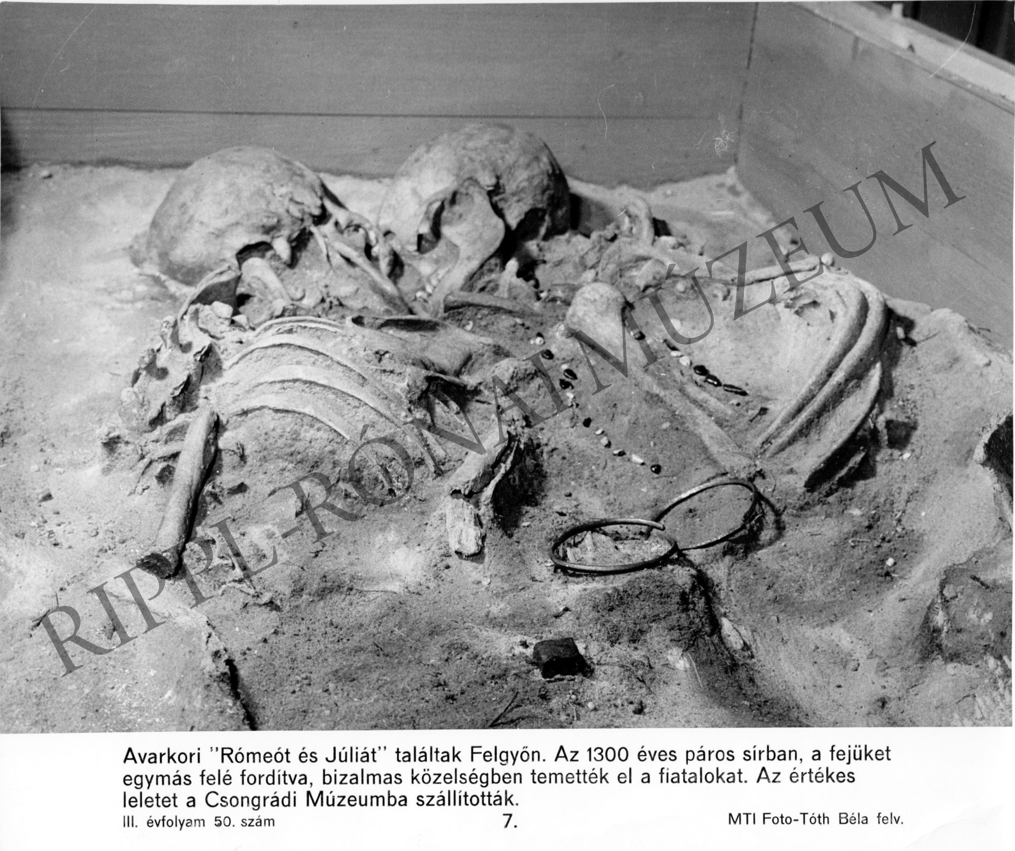 Avarkori csontlelet Algyőről (Rippl-Rónai Múzeum CC BY-NC-SA)
