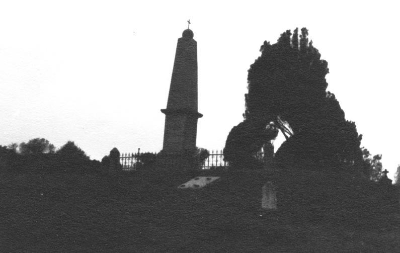 Berzsenyi Dániel síremléke ÉK-i nézet (Rippl-Rónai Múzeum CC BY-NC-ND)