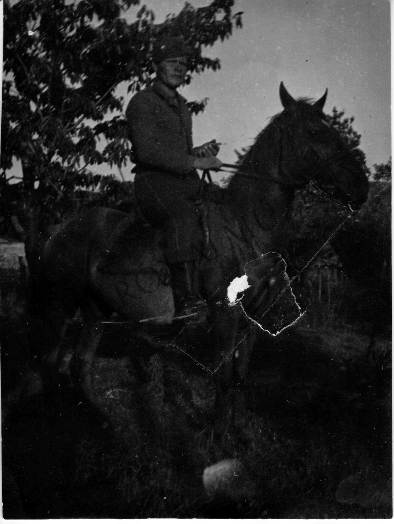 Bolgár lovas katona (Rippl-Rónai Múzeum CC BY-NC-SA)