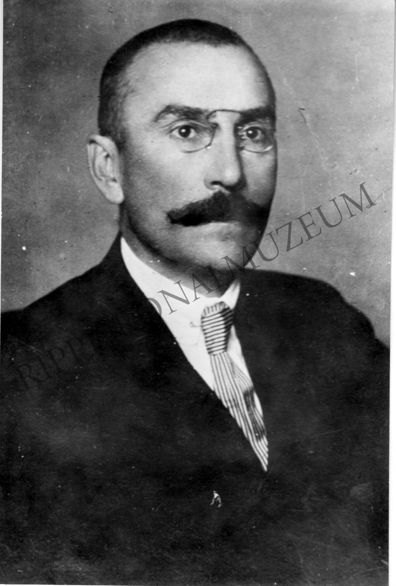 Gaál Gaszton somogyi földbirtokos és országgyűlési képviselő (Rippl-Rónai Múzeum CC BY-NC-SA)