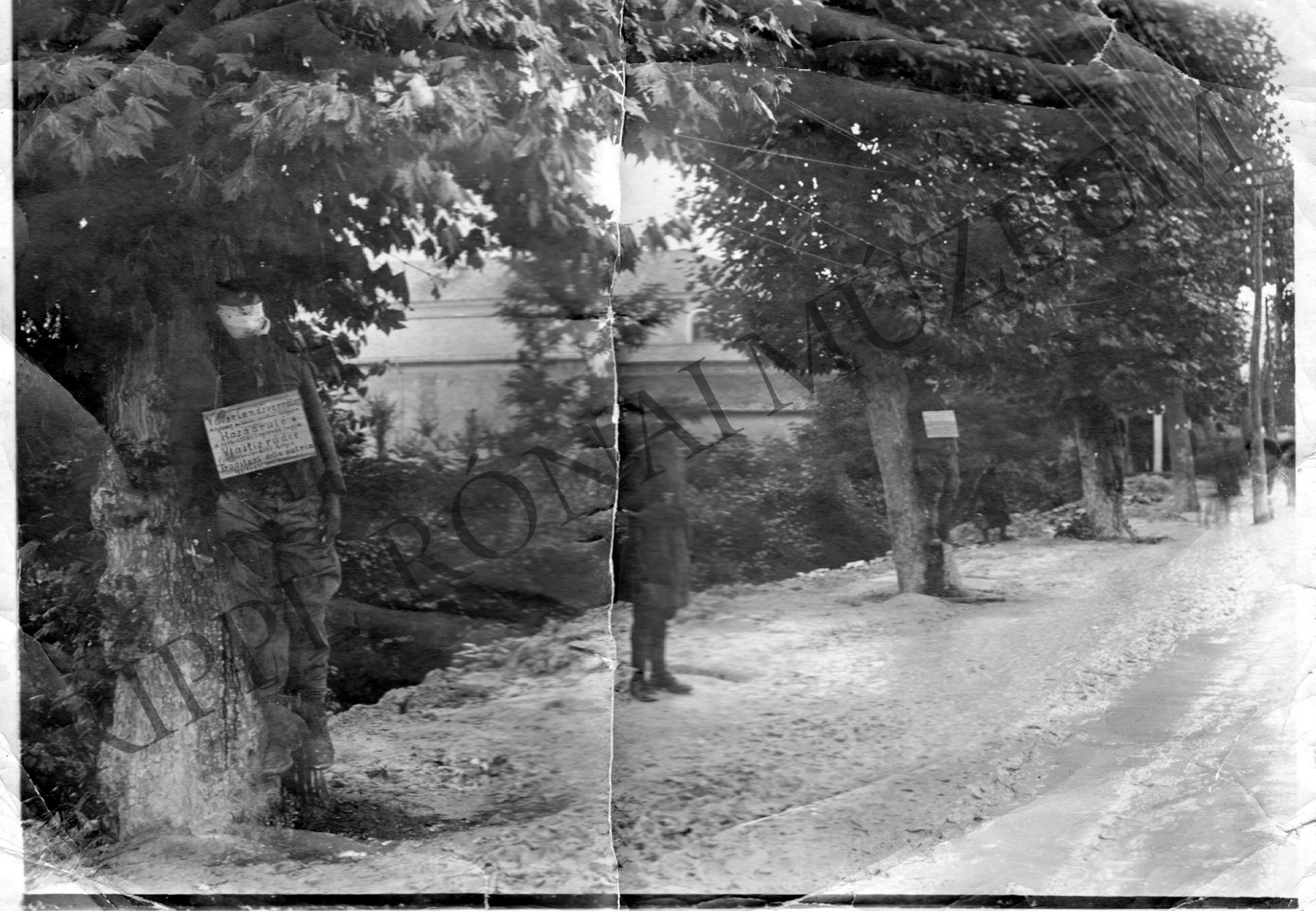 Hazaárulók A cseh-szlovák légió kivégzett katonái a fákra akasztva (Rippl-Rónai Múzeum CC BY-NC-SA)