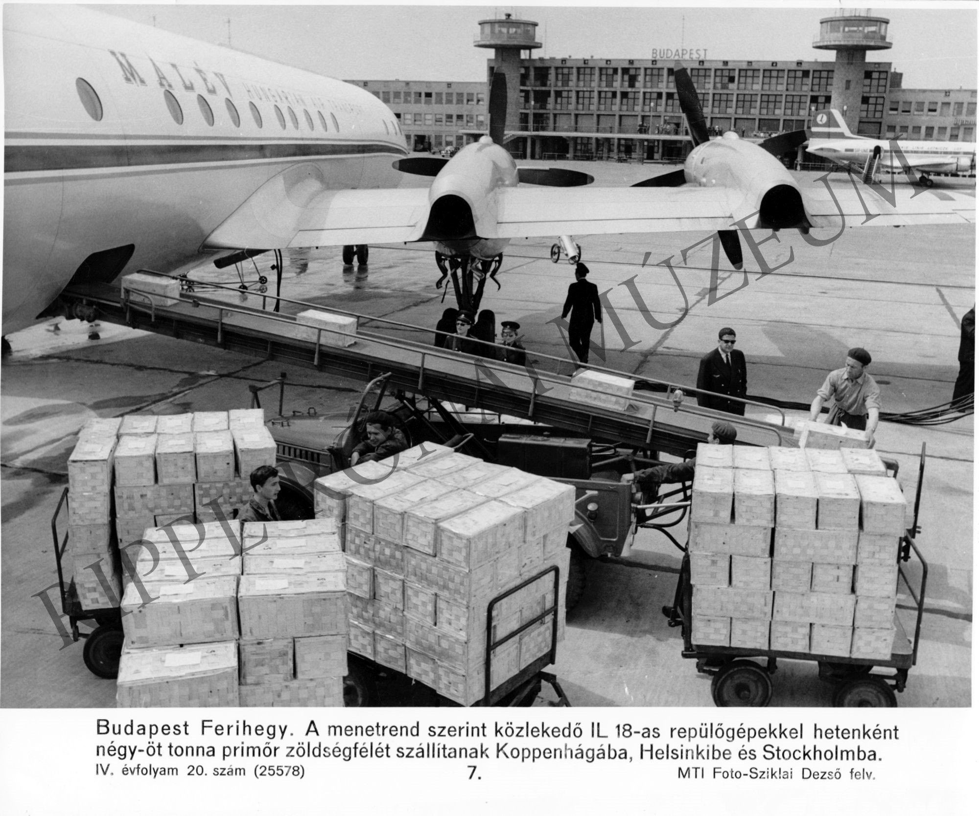 IL 18-as repülőgépekkel hetente 4-5 tonna primőr zöldséget szállítanak Ferihegyről Koppenhágába, Helsinkibe, Stockholmba (Rippl-Rónai Múzeum CC BY-NC-SA)