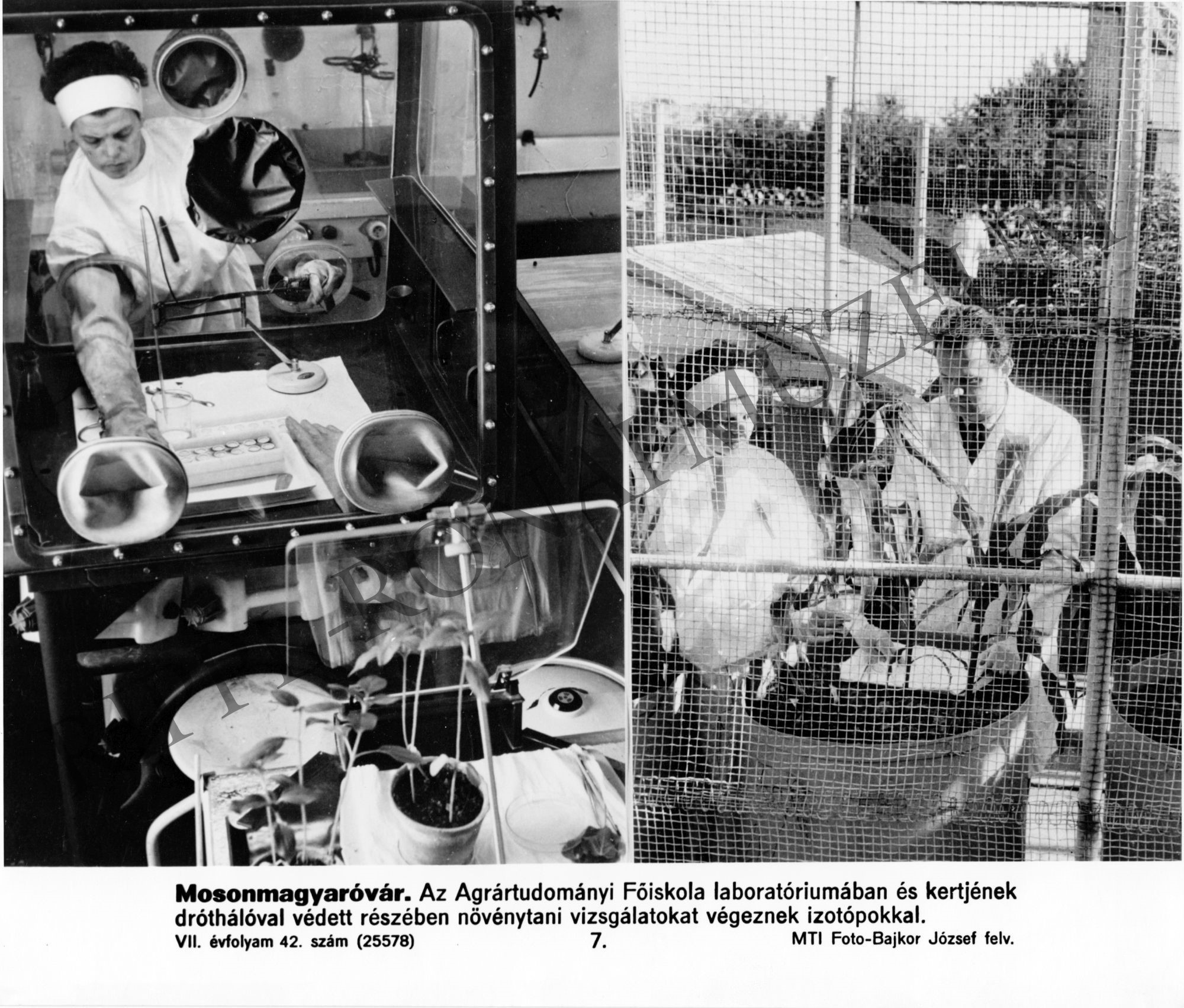 Izotópos növénytani vizsgálatok a mosonmagyaróvári Agrártudományi Főiskola laboratóriumában (Rippl-Rónai Múzeum CC BY-NC-SA)