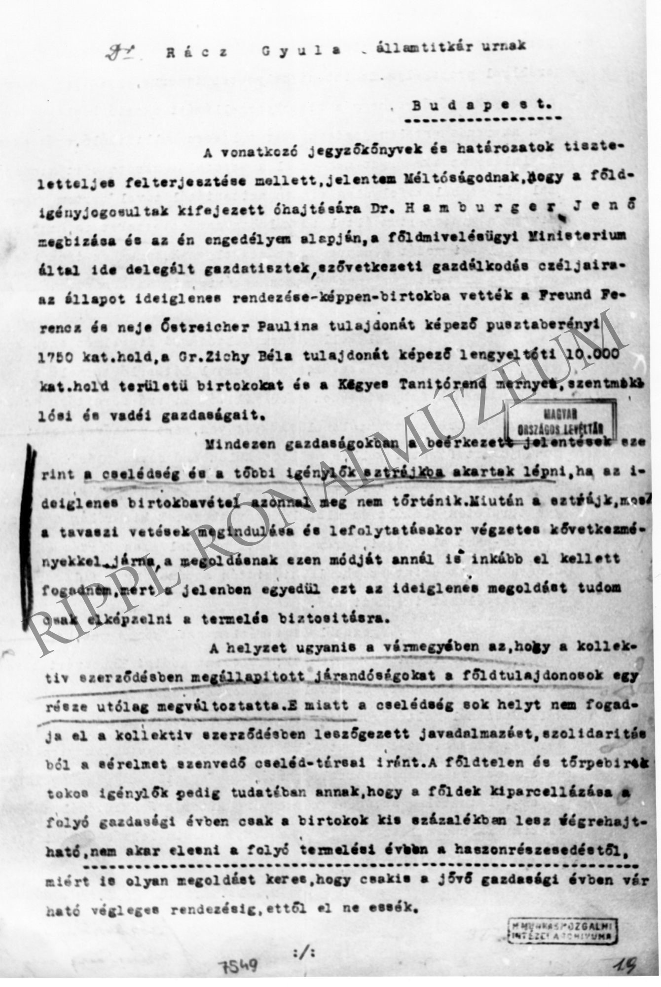 Jászberényi Andor miniszteri megbizott jelentése a FM. államtitkárnak 1919. márc. 6. (Rippl-Rónai Múzeum CC BY-NC-SA)
