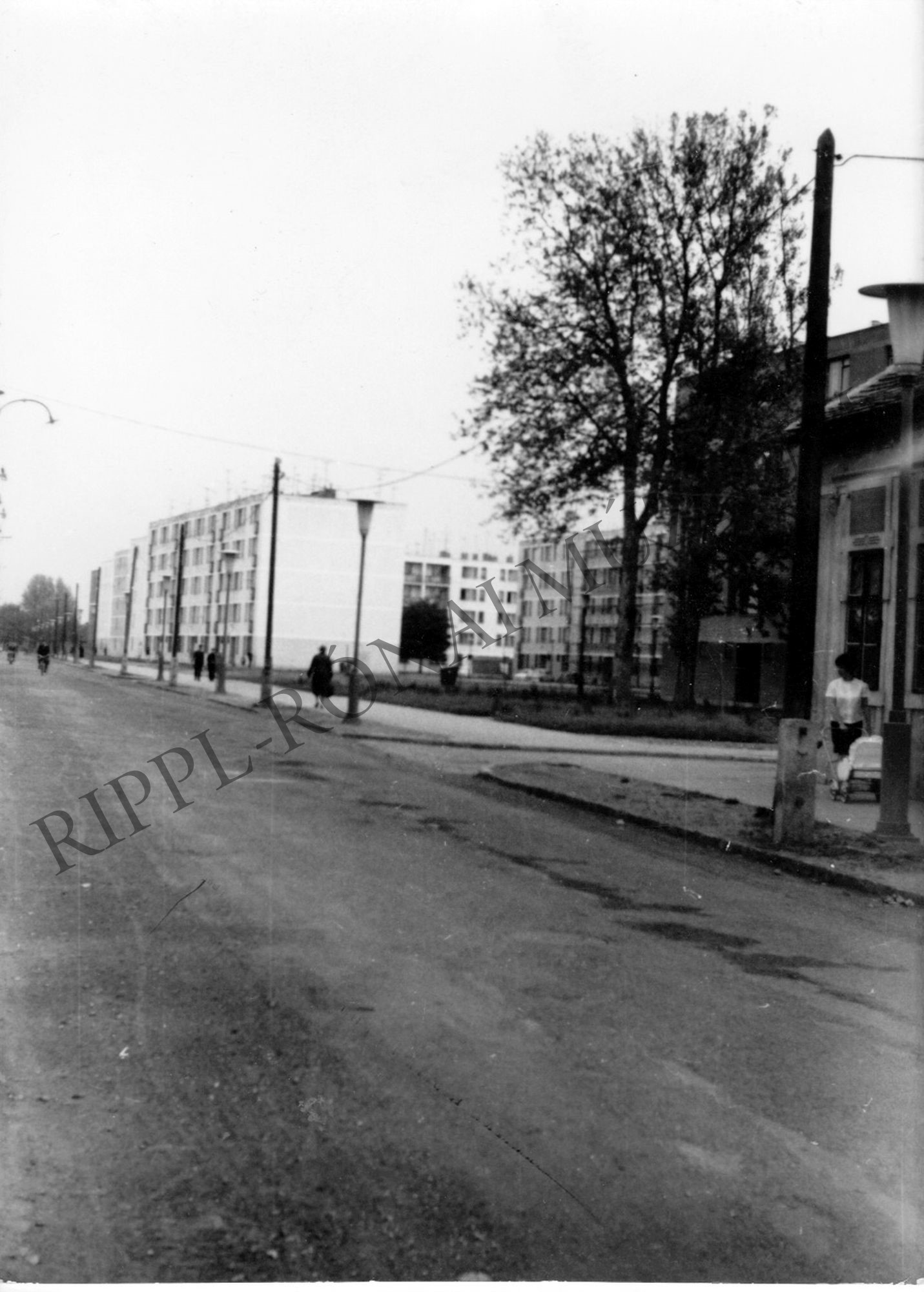 Kaposvár Kalinyin lakótelep a Honvéd utca felől (Rippl-Rónai Múzeum CC BY-NC-SA)