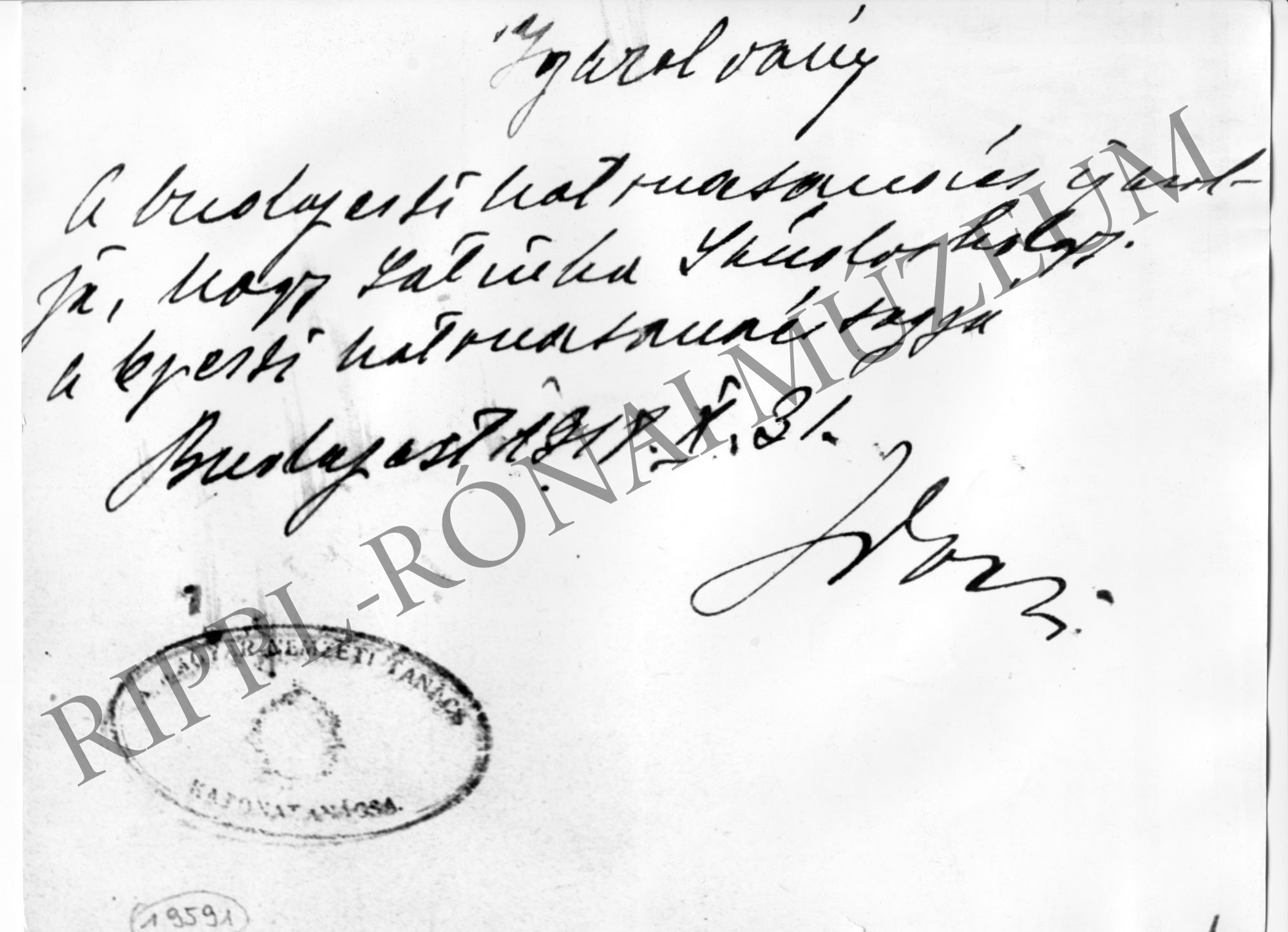 Kézzel írt igazolvány arról, hogy Latinka Sándor a budapesti katonatanács tagja. 1918. okt. 31. (Rippl-Rónai Múzeum CC BY-NC-SA)