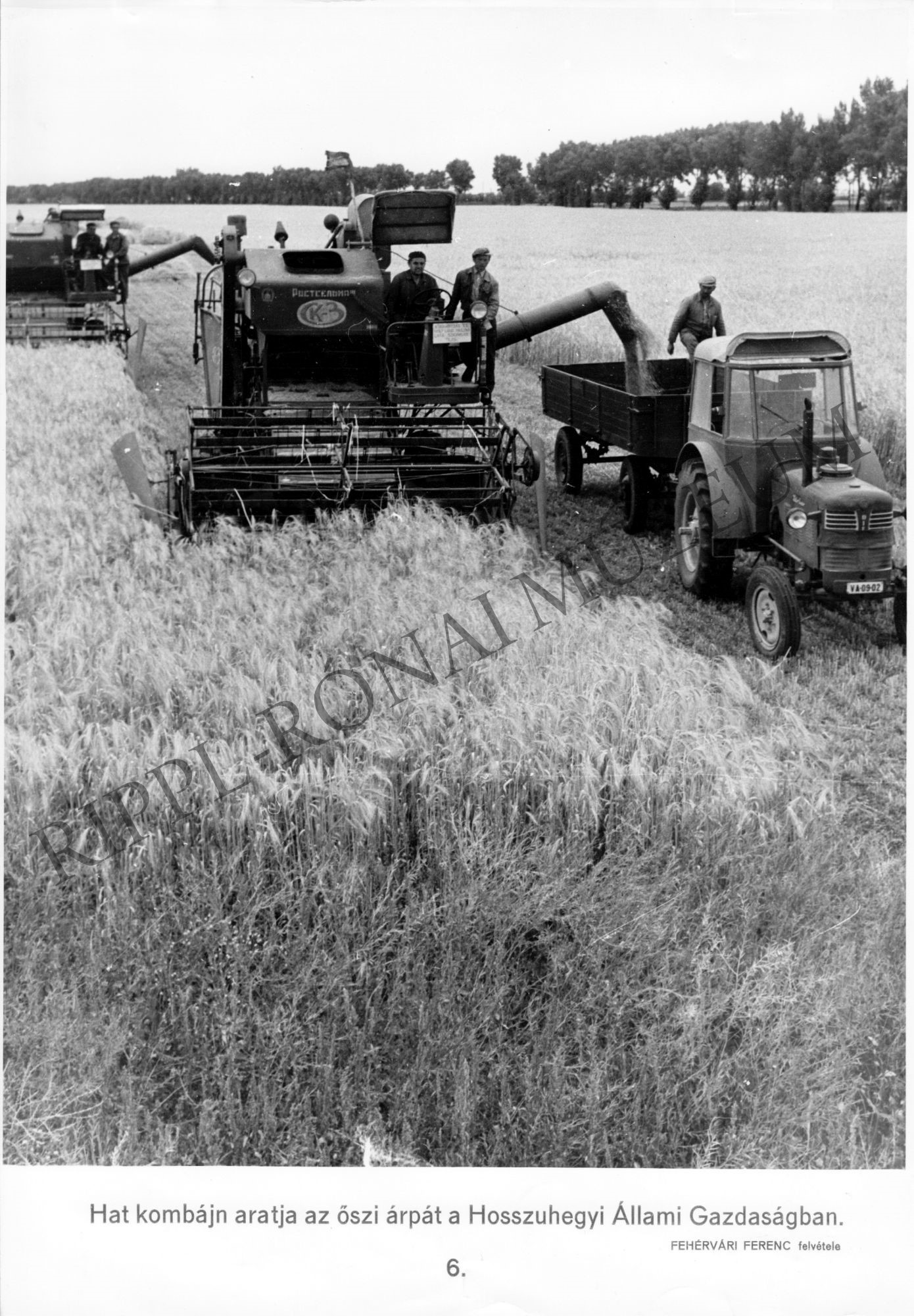 Kombájnos aratás a hosszúhegyi Állami Gazdaságban (Rippl-Rónai Múzeum CC BY-NC-SA)