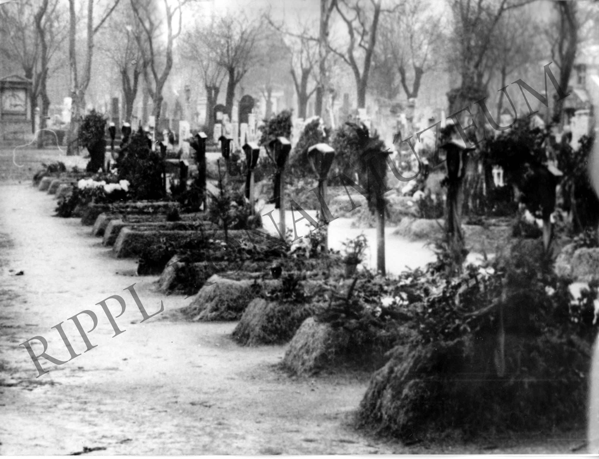 Kommunista mártírok sírja a Kerepesi temetőben (Rippl-Rónai Múzeum CC BY-NC-SA)