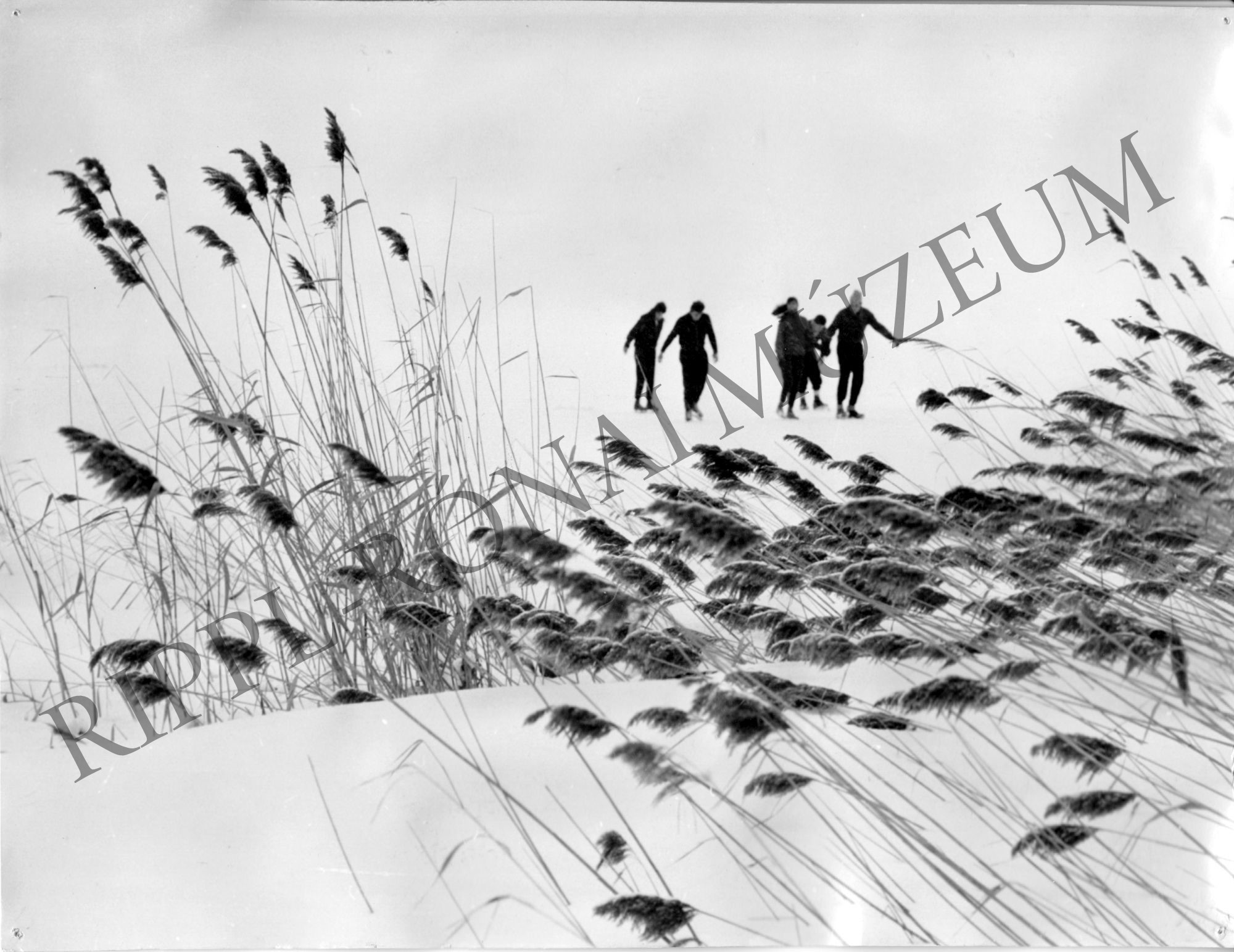 Korcsolyázók a balatonlellei strand mellett (Rippl-Rónai Múzeum CC BY-NC-SA)