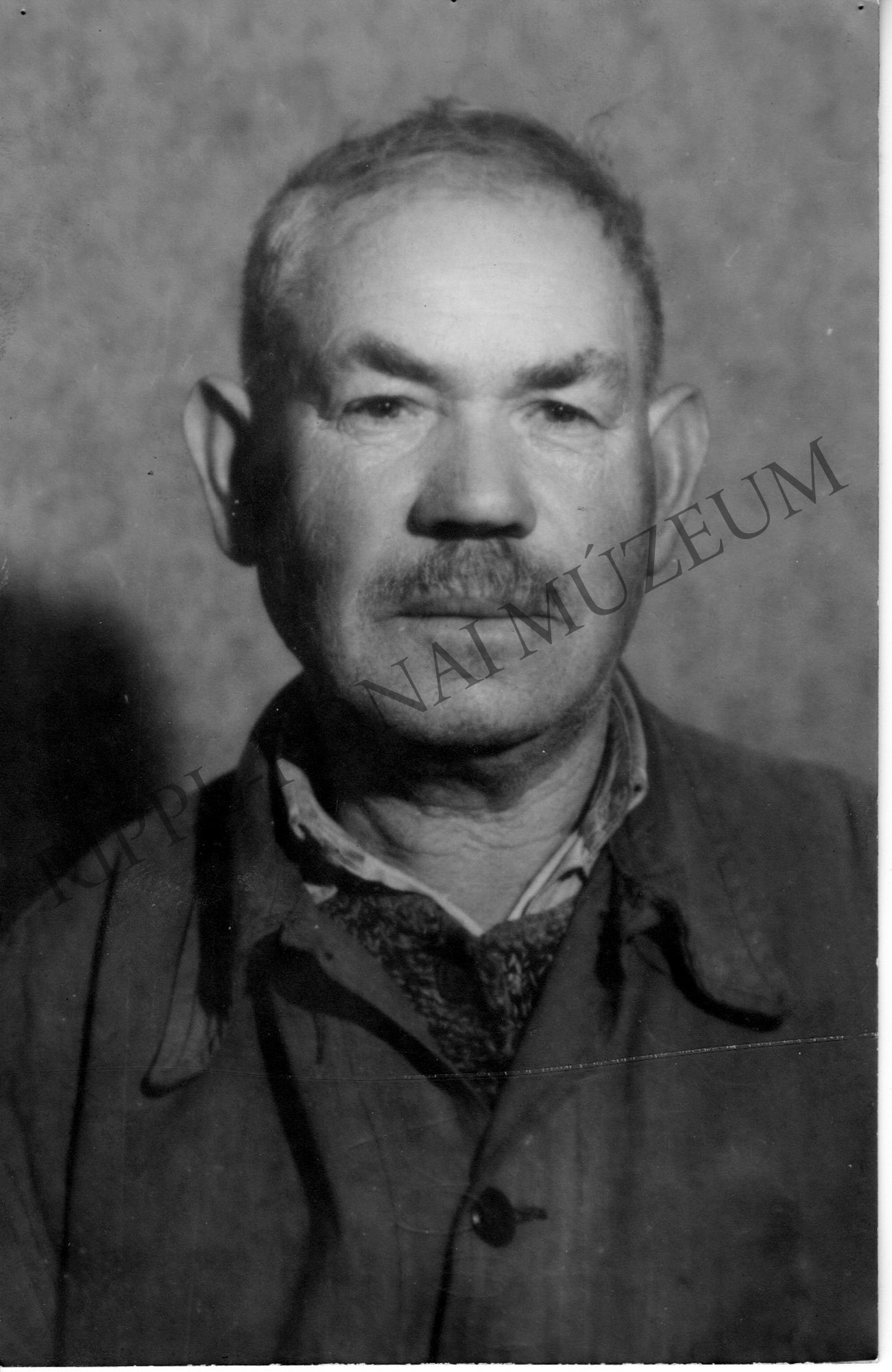 Krizbacher János, a hácsi arató sztrájk tanúja (Rippl-Rónai Múzeum CC BY-NC-SA)