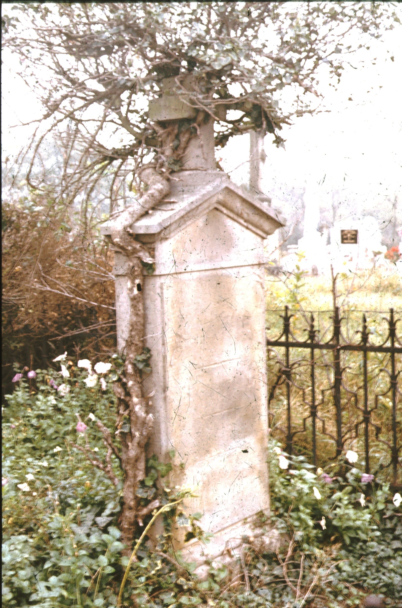 Lájpczig Istvánné sírköve (1862) ÉNy-i nézet (Rippl-Rónai Múzeum CC BY-NC-ND)