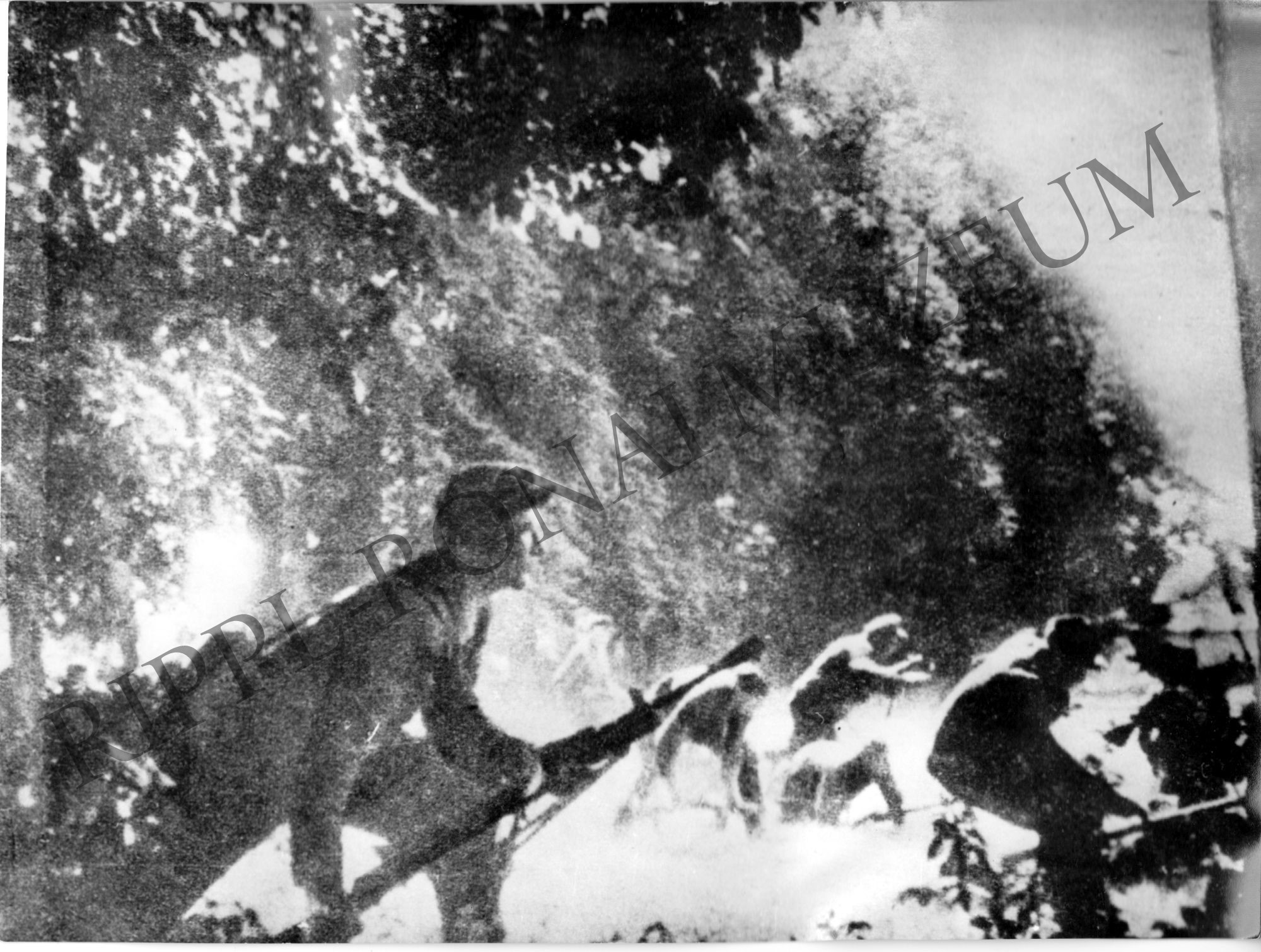 Magyar partizánok harc közben a Kárpátokban 1944-ben (Rippl-Rónai Múzeum CC BY-NC-SA)
