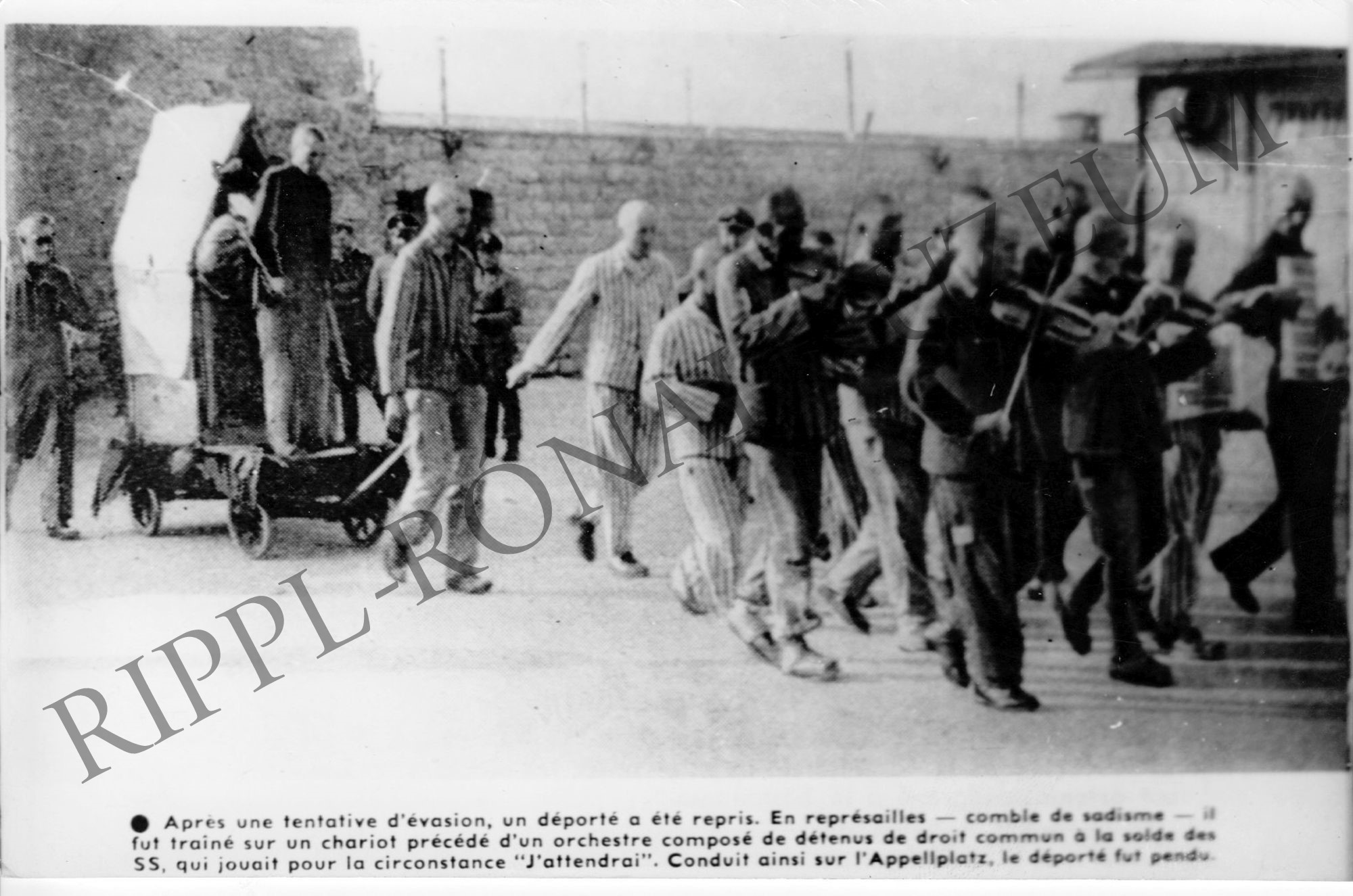 Szökött rabot kivégzésre visznek Mauthausen-ben (Rippl-Rónai Múzeum CC BY-NC-SA)