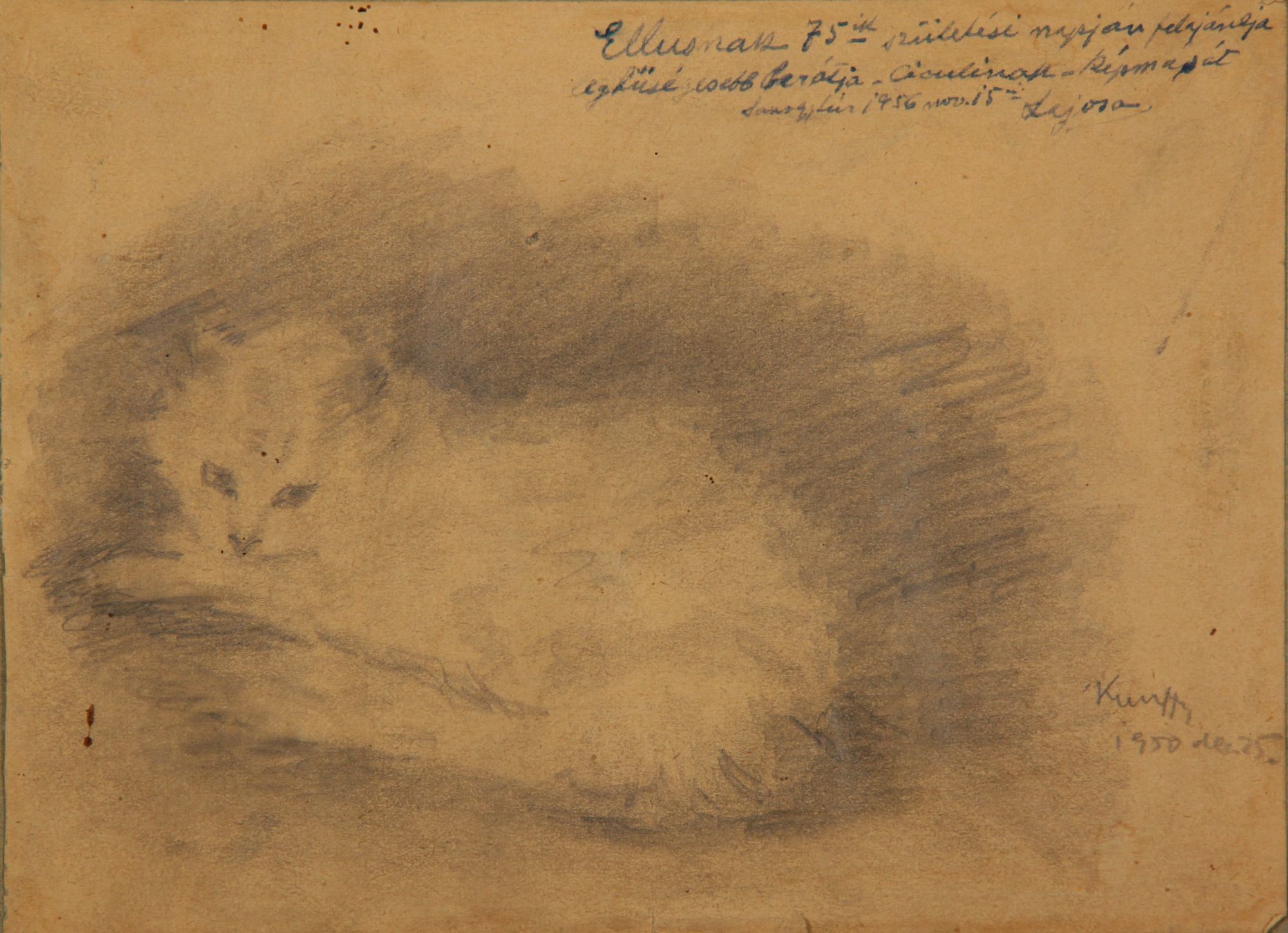 Alvó cica (Rippl-Rónai Múzeum CC BY-NC-SA)