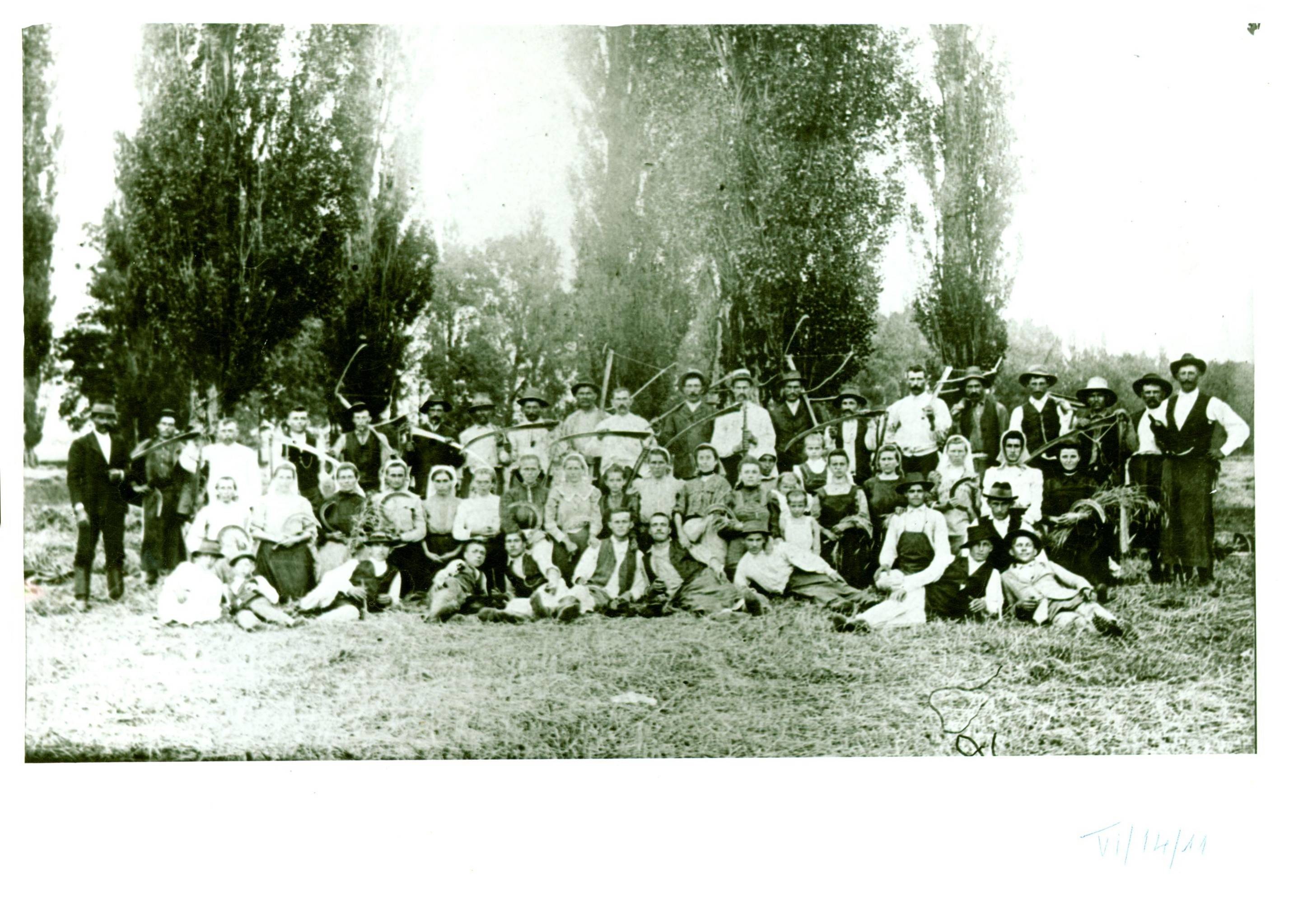 Aratás az I. világháború előtt Lajosházán /Kálmáncsa/ (Rippl-Rónai Múzeum CC BY-NC-ND)