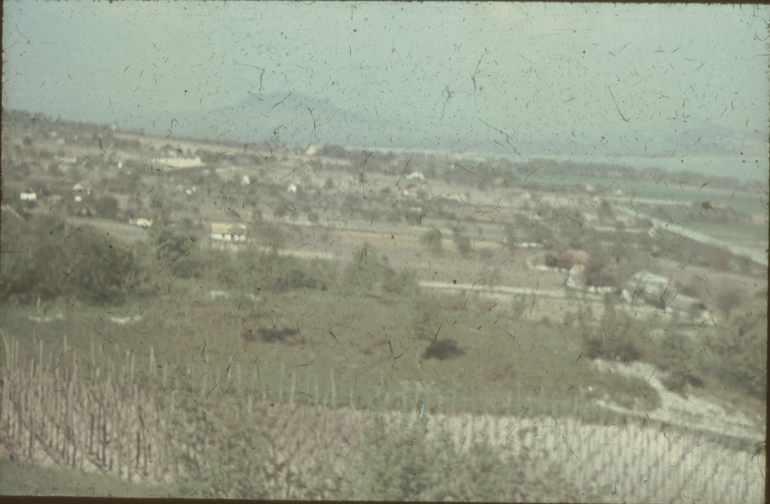Balatonfelvidéki táj, szőlővel (Rippl-Rónai Múzeum CC BY-NC-ND)