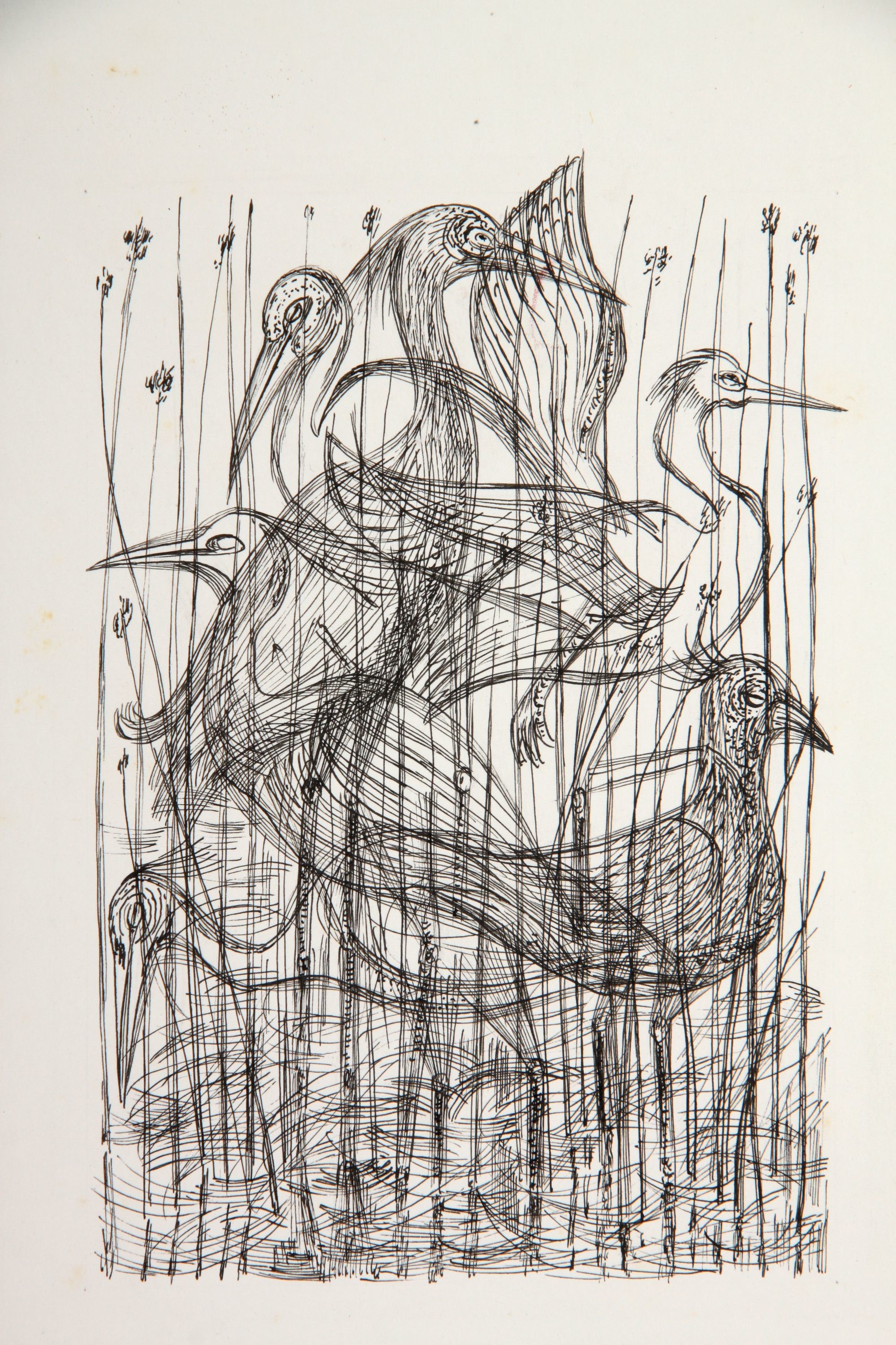 Balatoni madarak (Rippl-Rónai Múzeum CC BY-NC-SA)