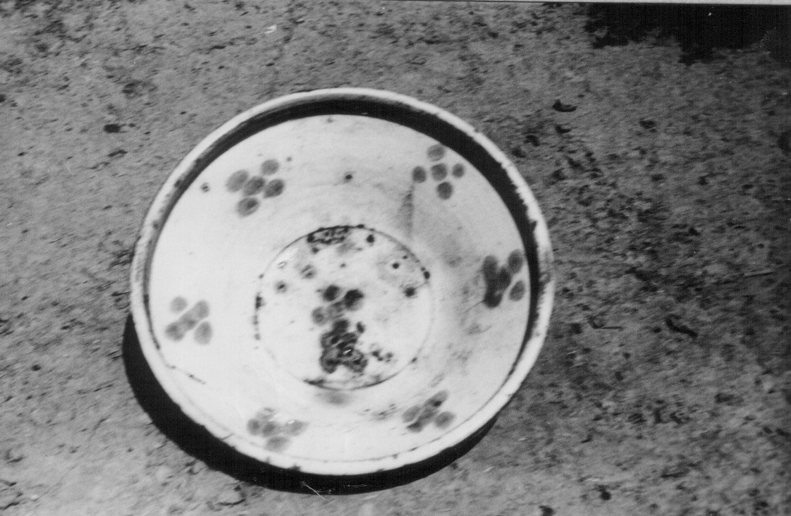 Cseréptál "kocsonyástál" (Rippl-Rónai Múzeum CC BY-NC-ND)