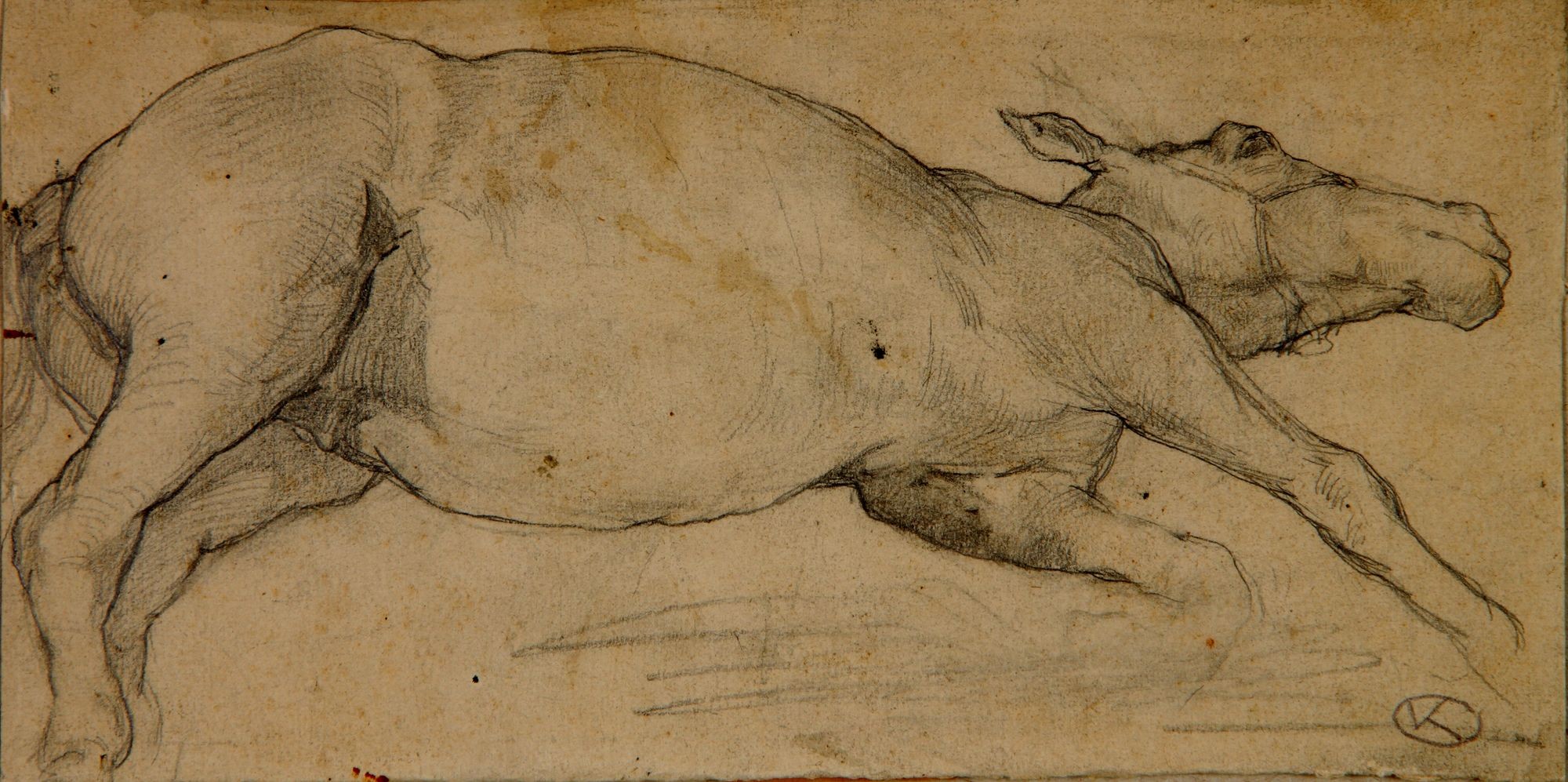 Döglött ló (Rippl-Rónai Múzeum CC BY-NC-SA)