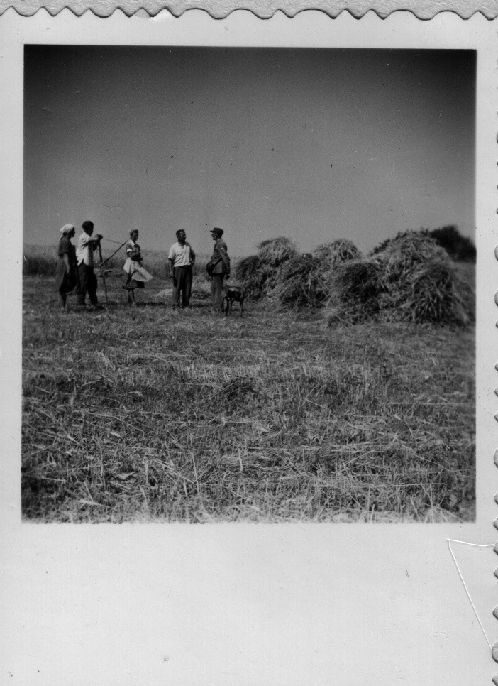 Egy sor kereszt. Arató család a mezőőrrel (Rippl-Rónai Múzeum CC BY-NC-ND)