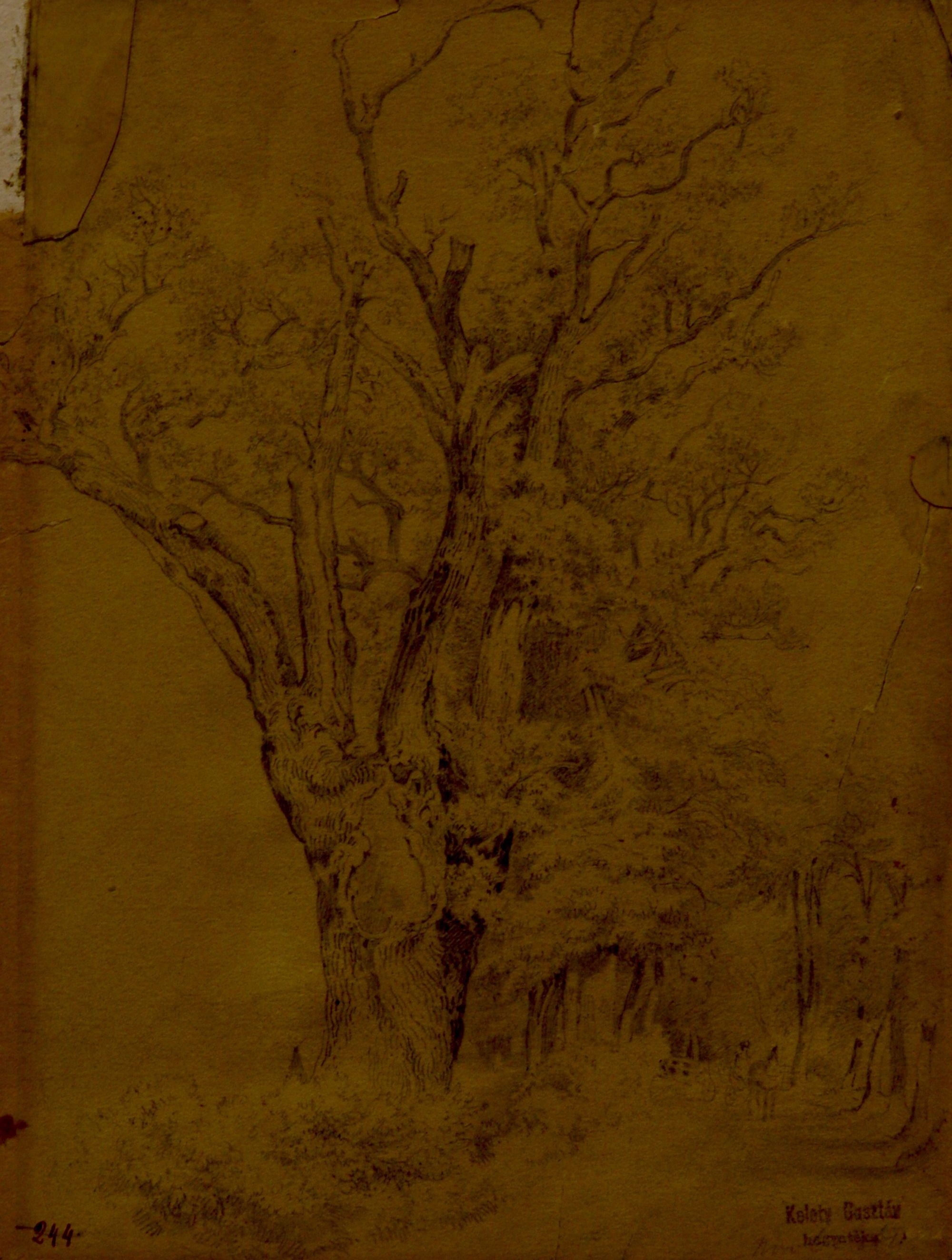 Fák (Erdőből hazatérő egyes fogat.) (Rippl-Rónai Múzeum CC BY-NC-ND)