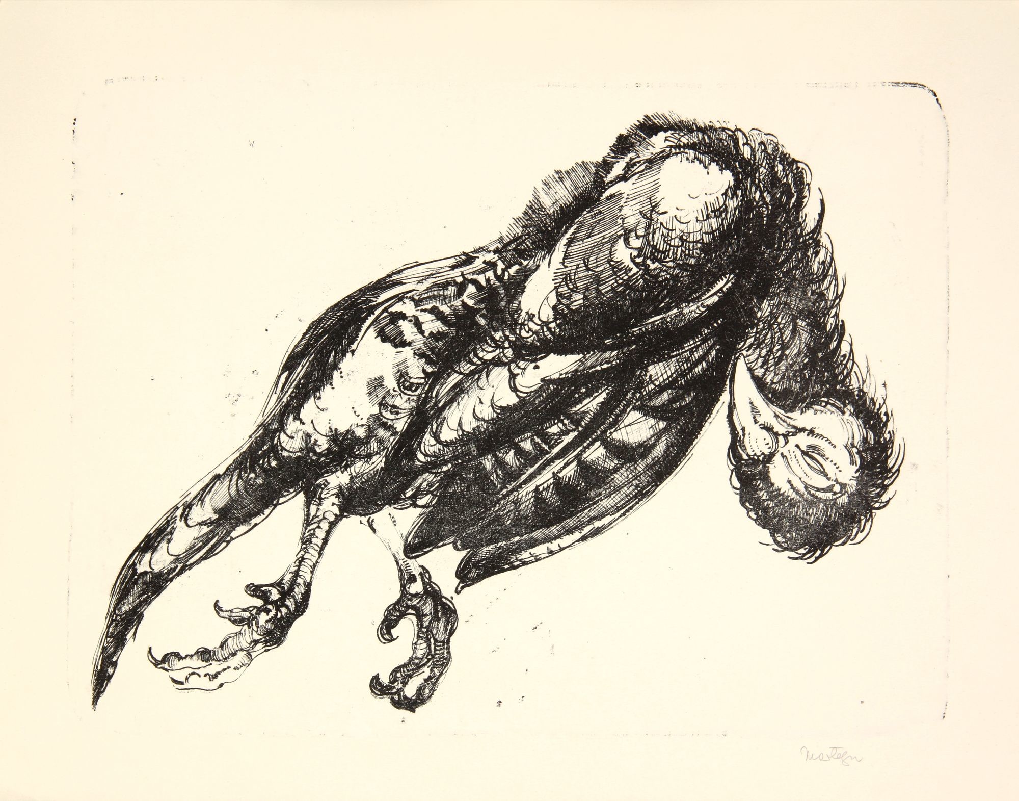 Halott fácán (Rippl-Rónai Múzeum CC BY-NC-SA)