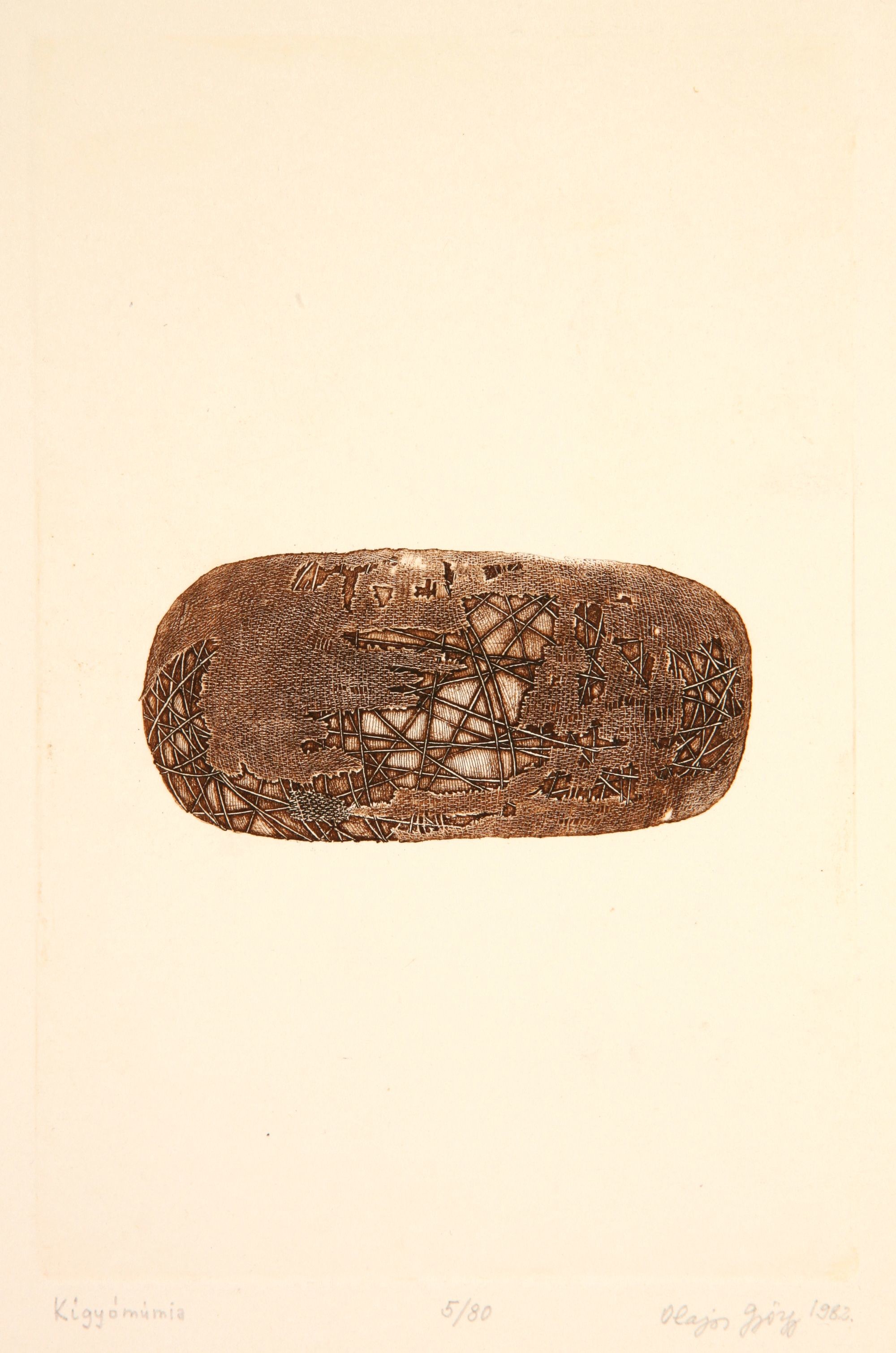 Kígyómúmia (Rippl-Rónai Múzeum CC BY-NC-SA)