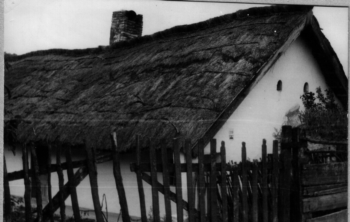 Lakóház, léc és karókerítéssel, szegény ember háza, zsupp fedés (Rippl-Rónai Múzeum CC BY-NC-ND)