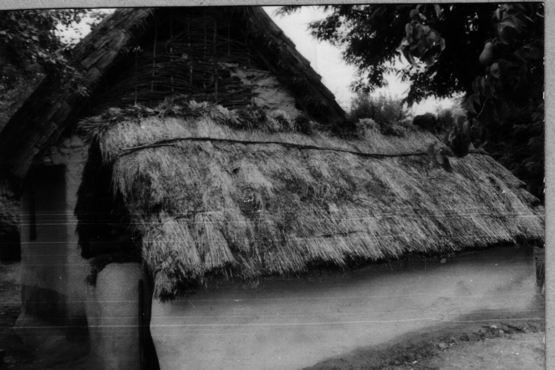 Lakótelek, pincesip és nyárikonyha, vert fal, zsupp tető, sövénytornácos oromzat (Rippl-Rónai Múzeum CC BY-NC-ND)